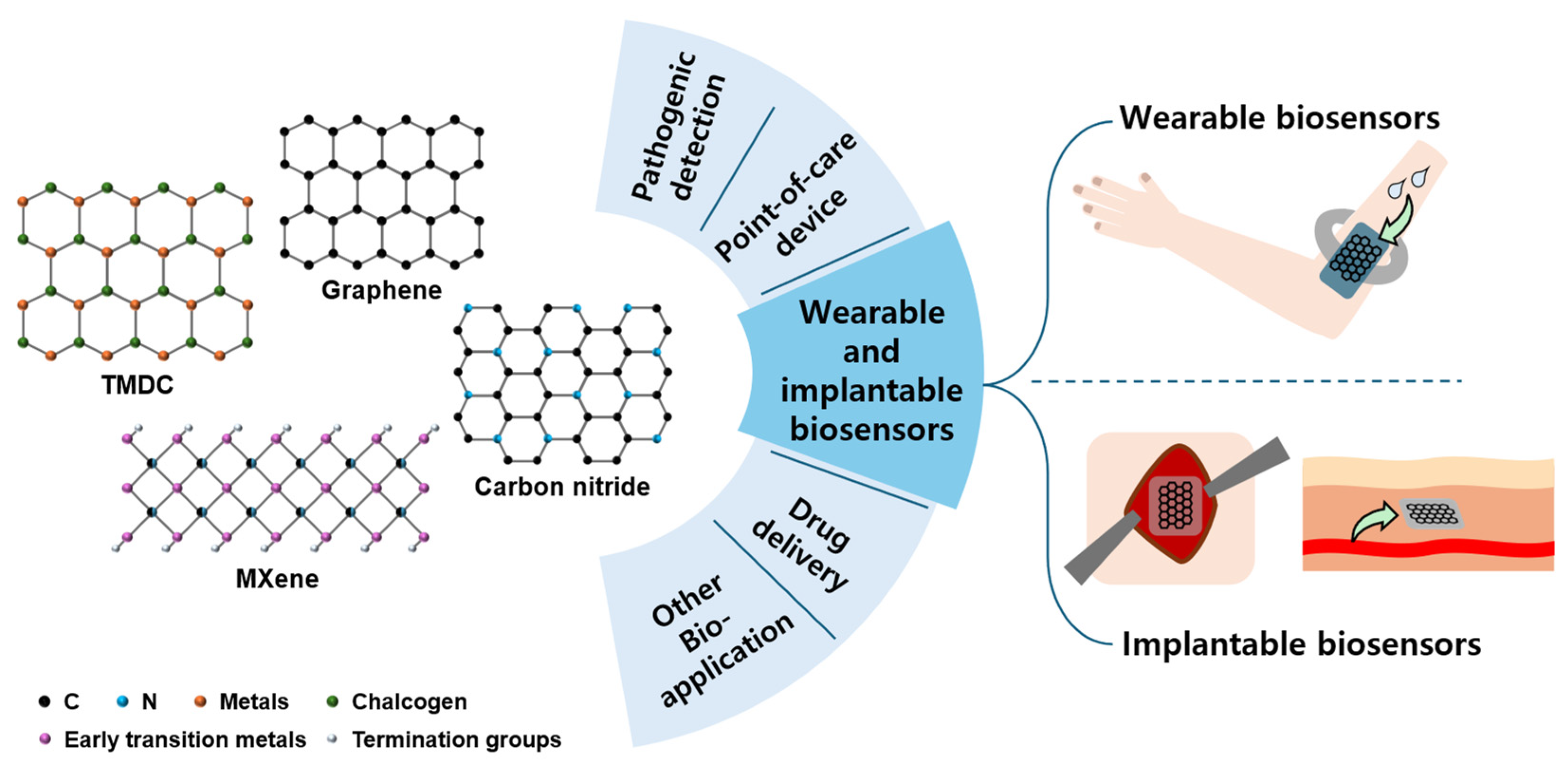 Chemosensors 13 00209 g001