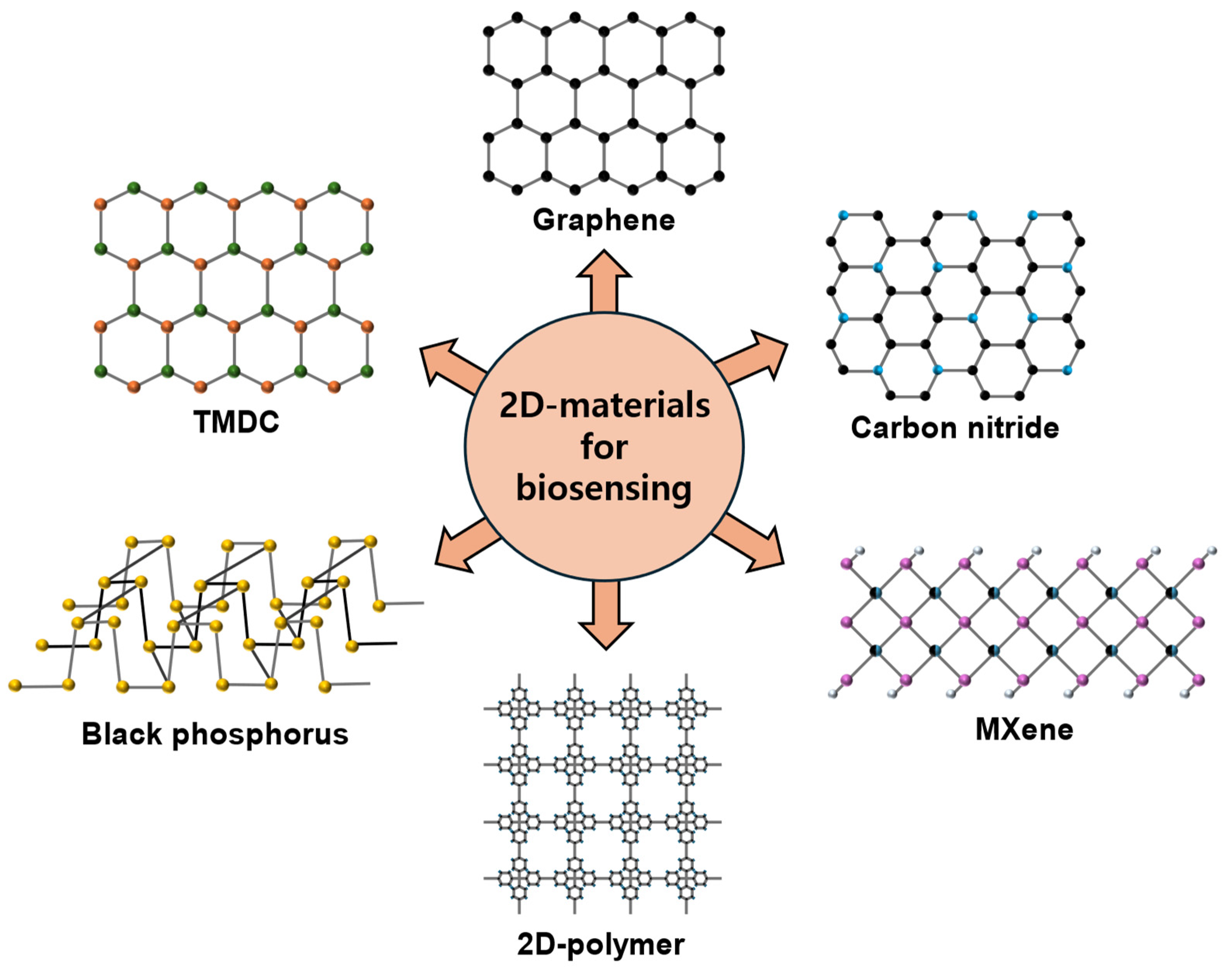 Chemosensors 13 00209 g002