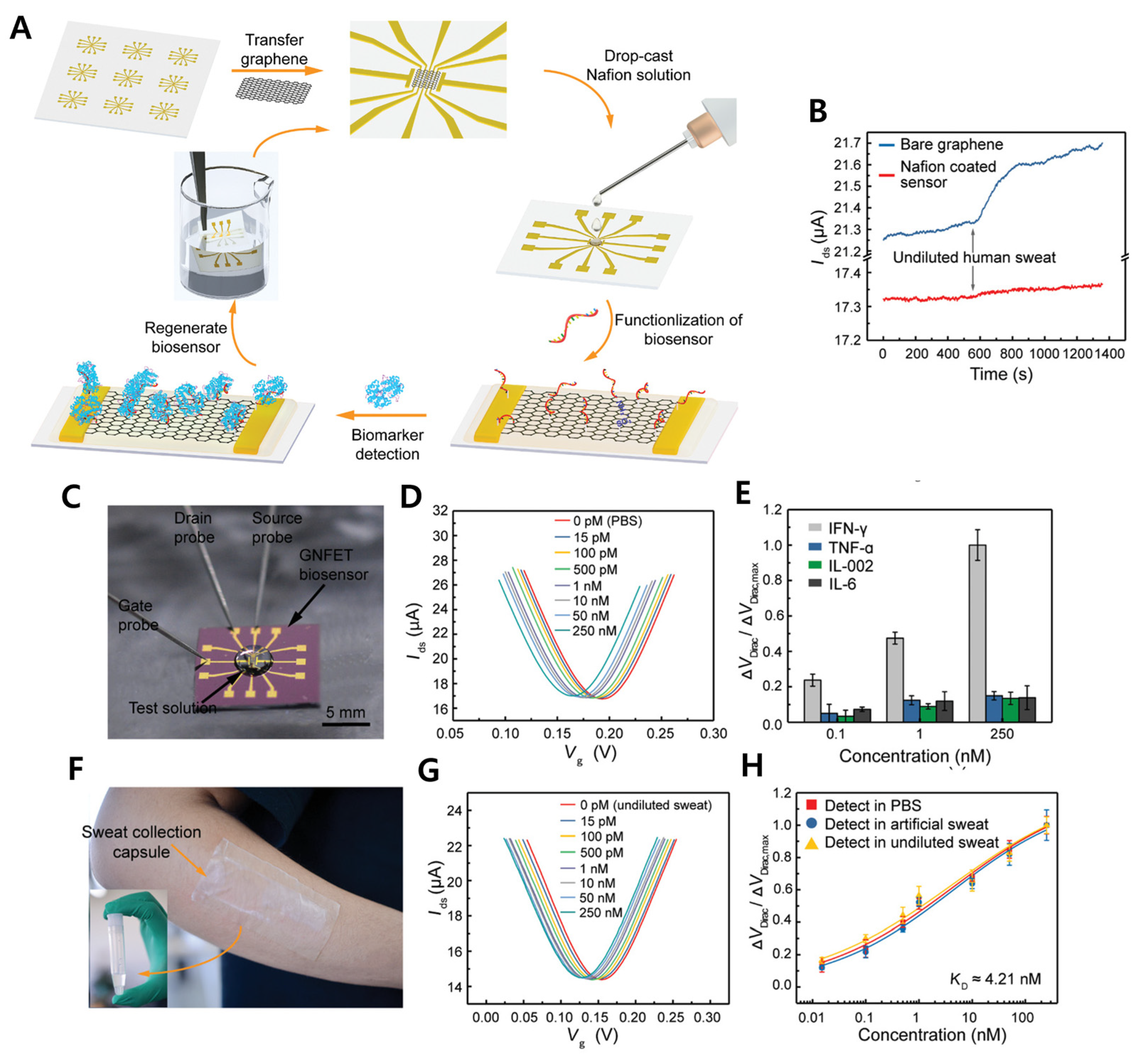 Chemosensors 13 00209 g005