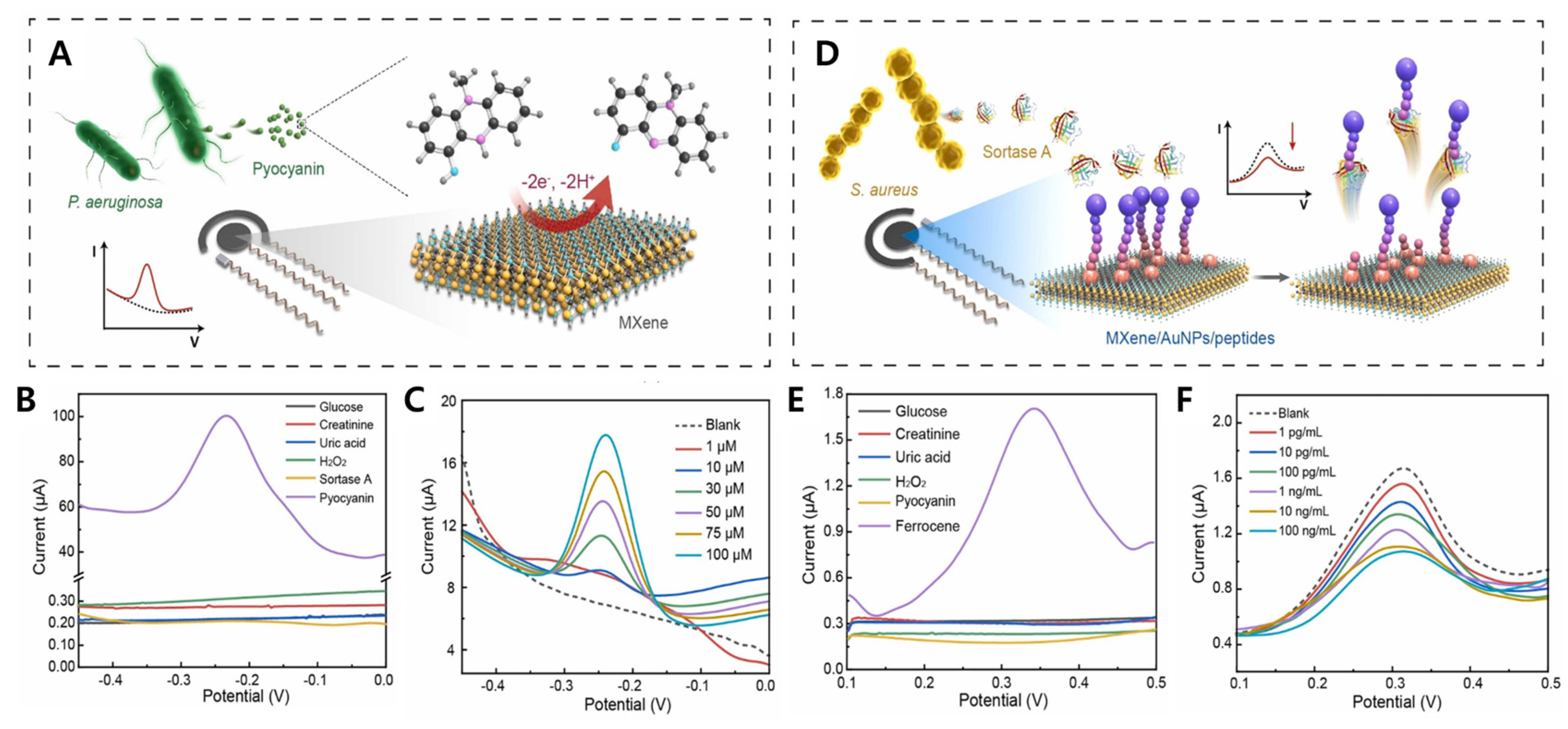 Chemosensors 13 00209 g006
