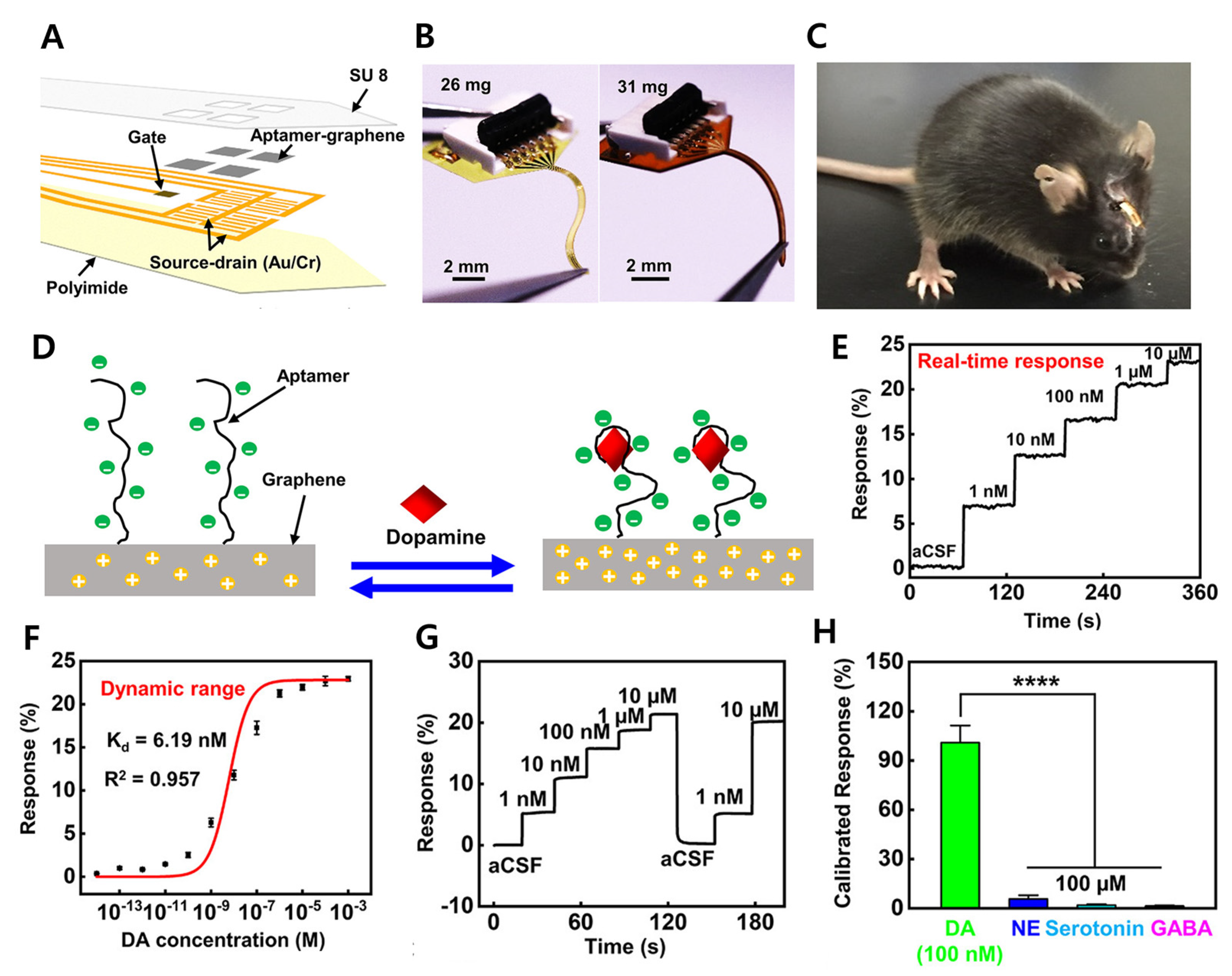 Chemosensors 13 00209 g008