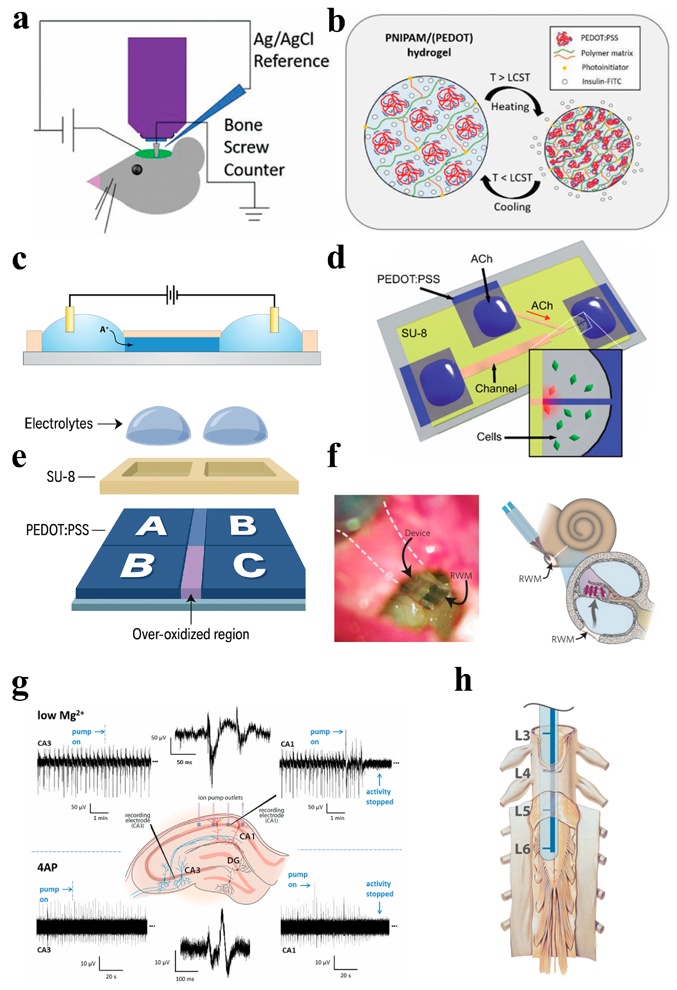 Chemosensors 13 00215 g007 Chemosensors 13 00215 g007
