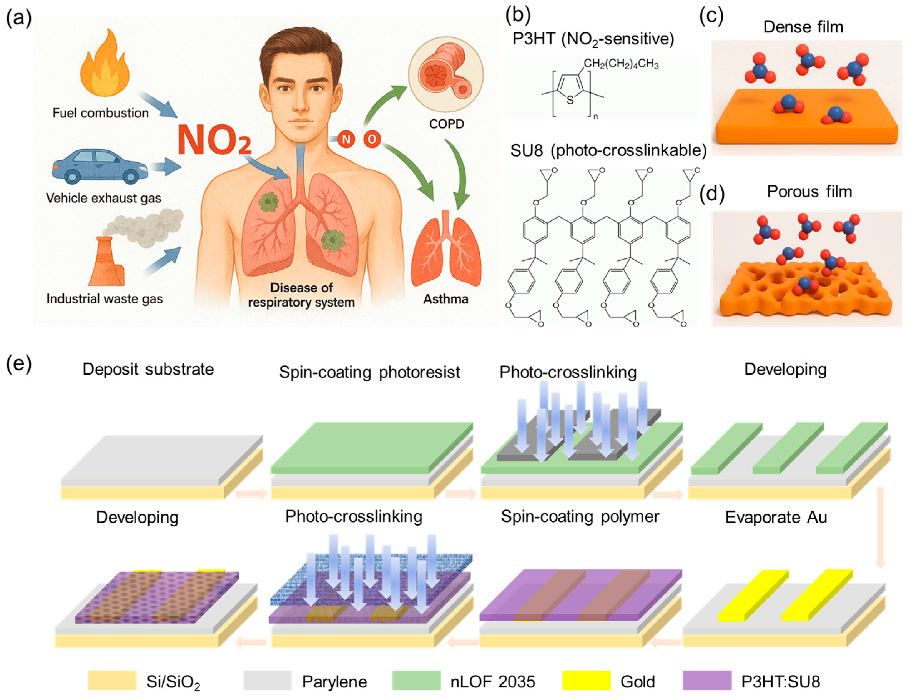Chemosensors 13 00216 g001