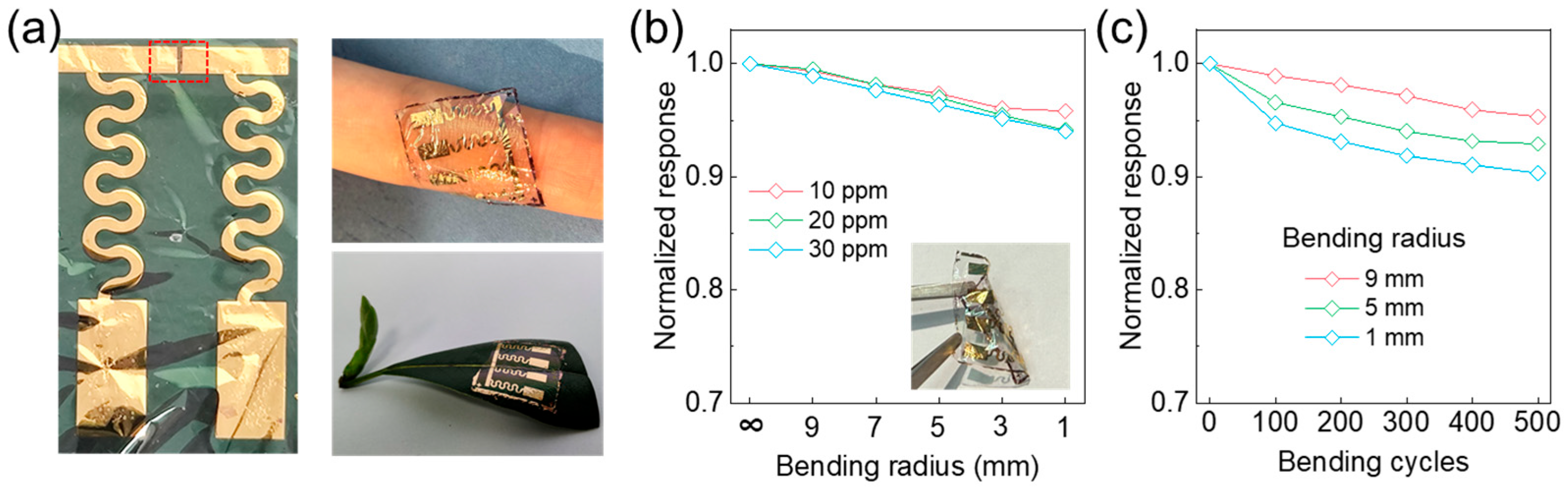 Chemosensors 13 00216 g004