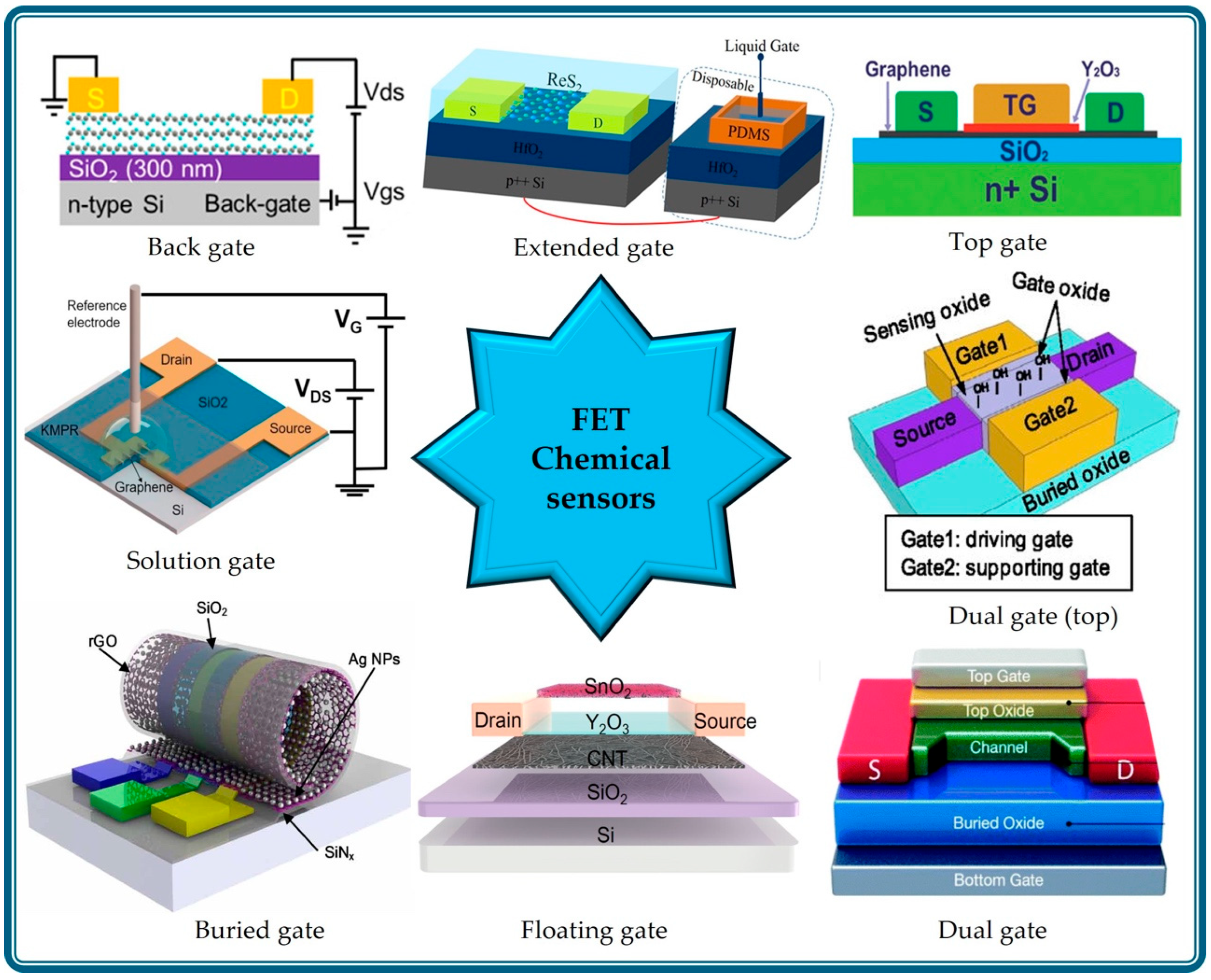 Chemosensors 13 00217 g001