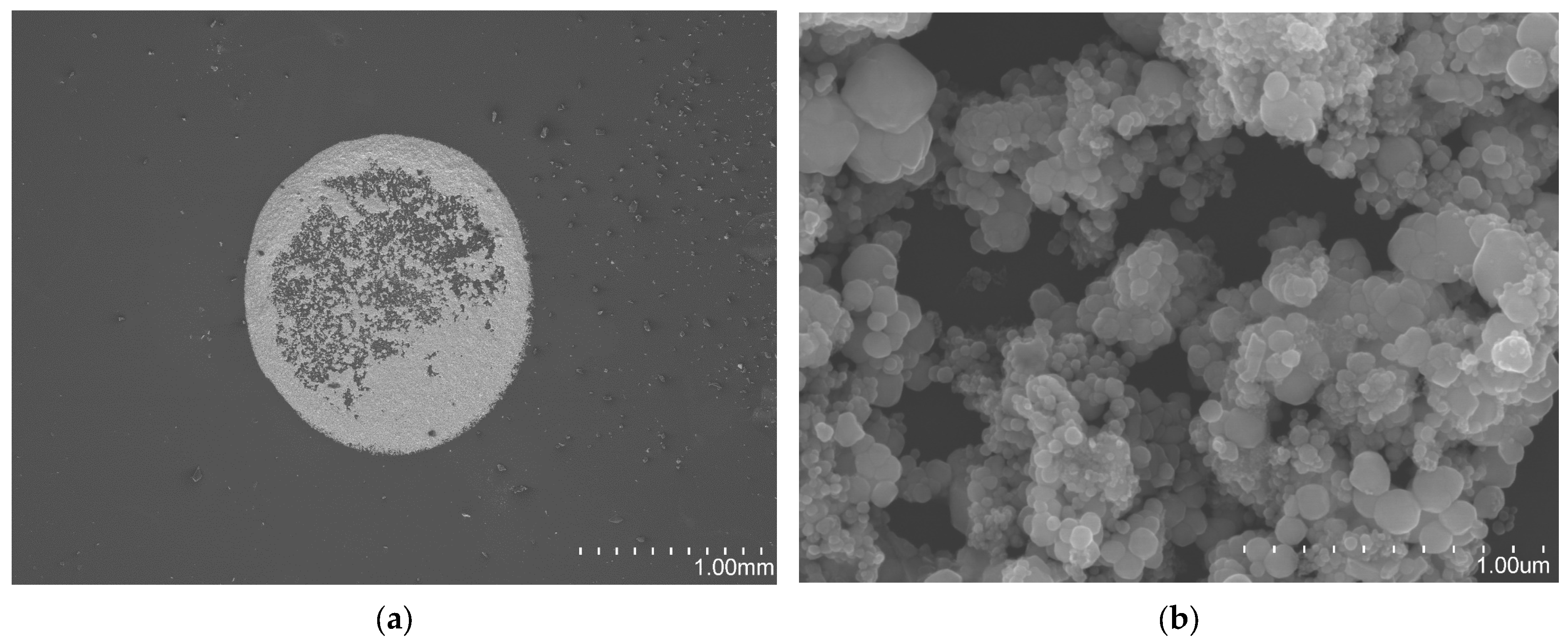 Chemosensors 13 00219 g006