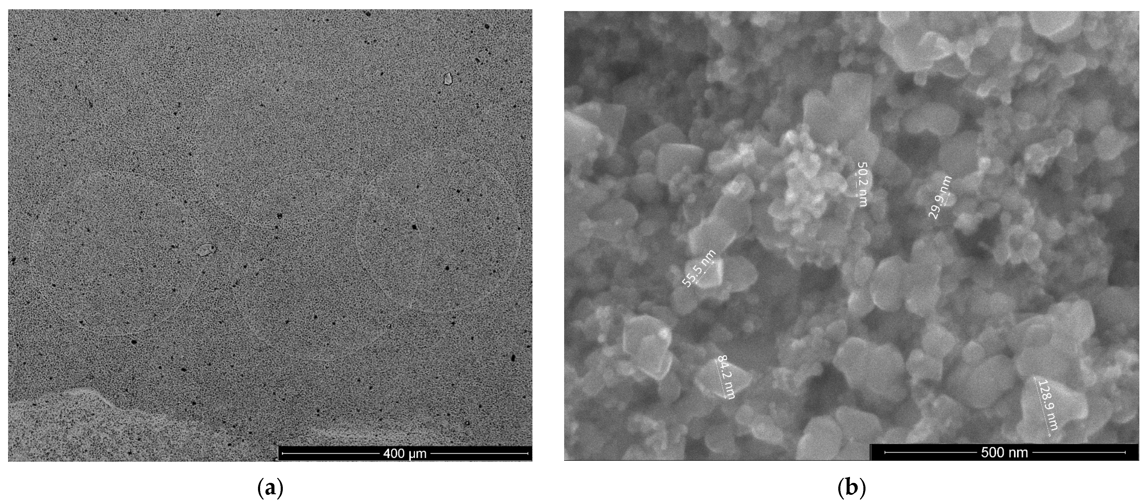 Chemosensors 13 00219 g007