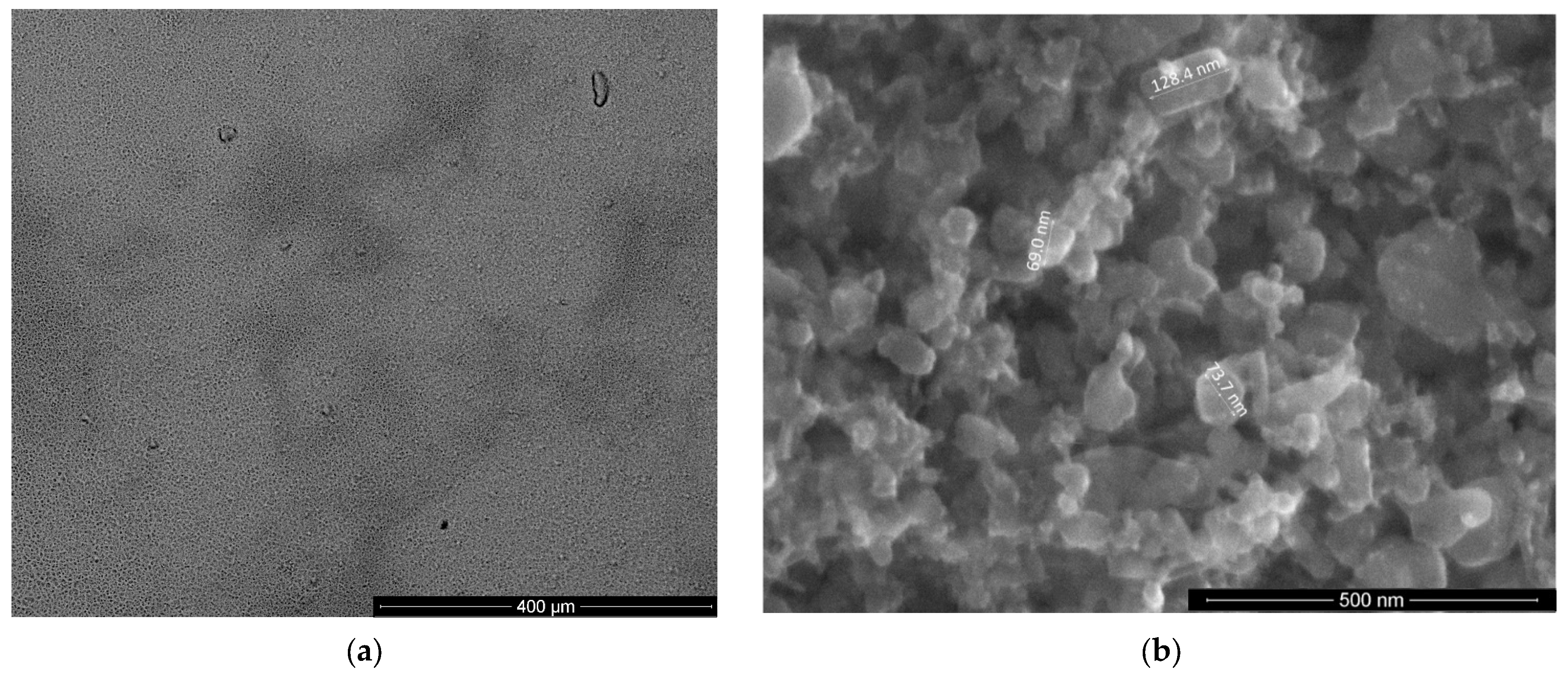 Chemosensors 13 00219 g008