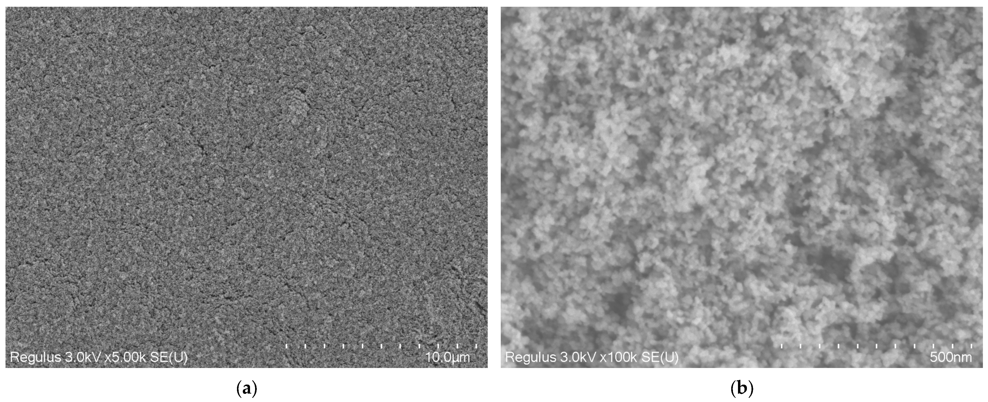 Chemosensors 13 00219 g009