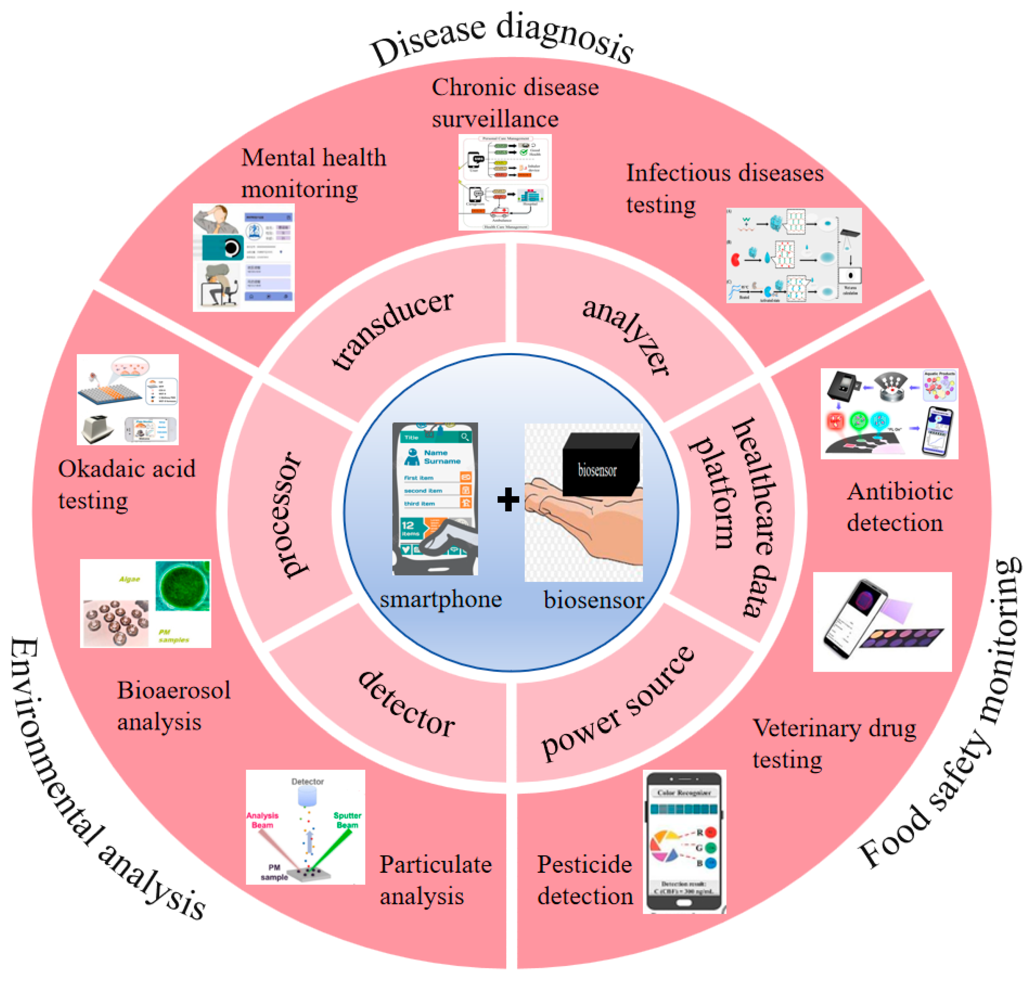 Chemosensors 13 00221 g001