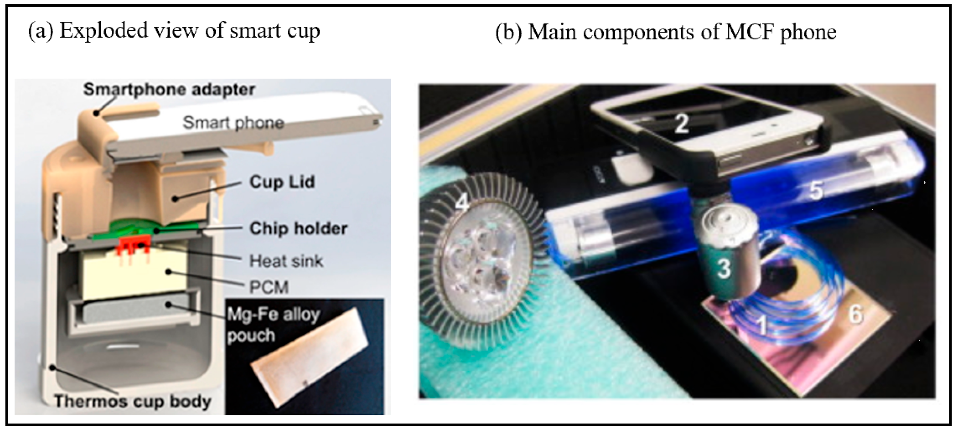 Chemosensors 13 00221 g005