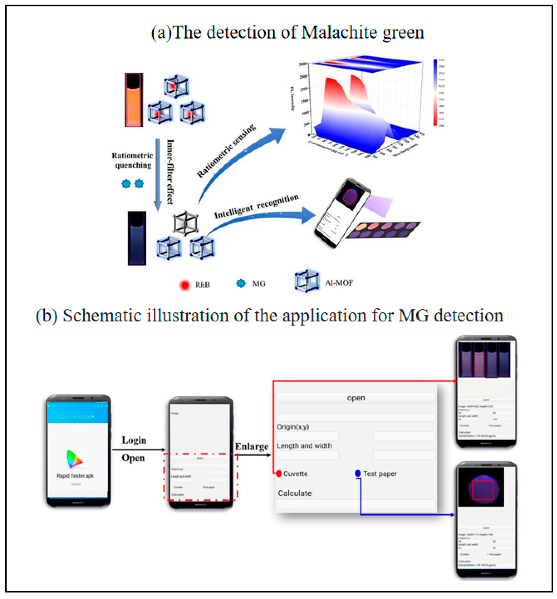 Chemosensors 13 00221 g011