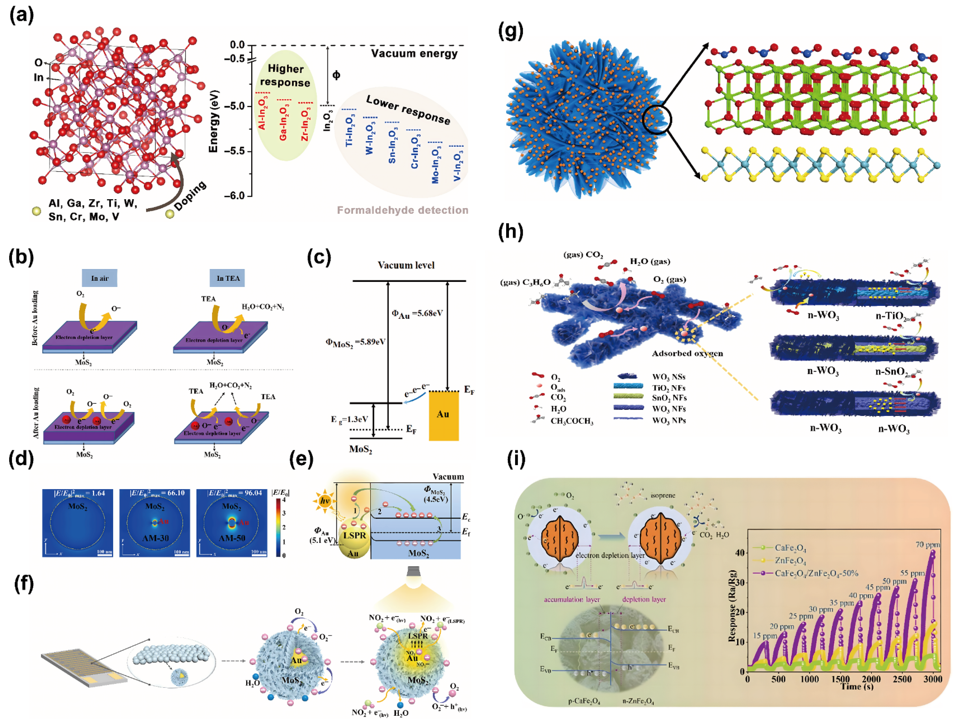 Chemosensors 13 00224 g004