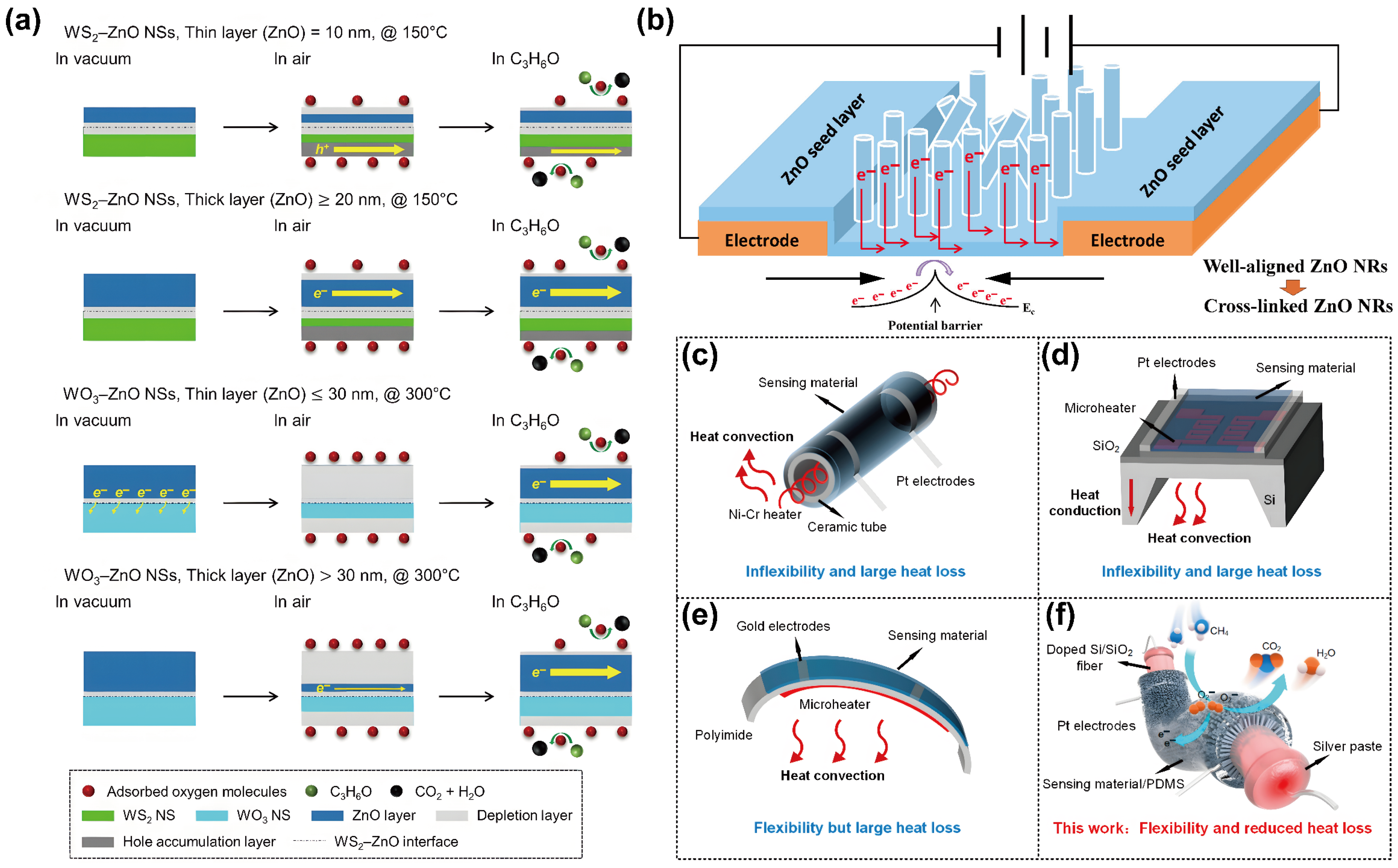 Chemosensors 13 00224 g005