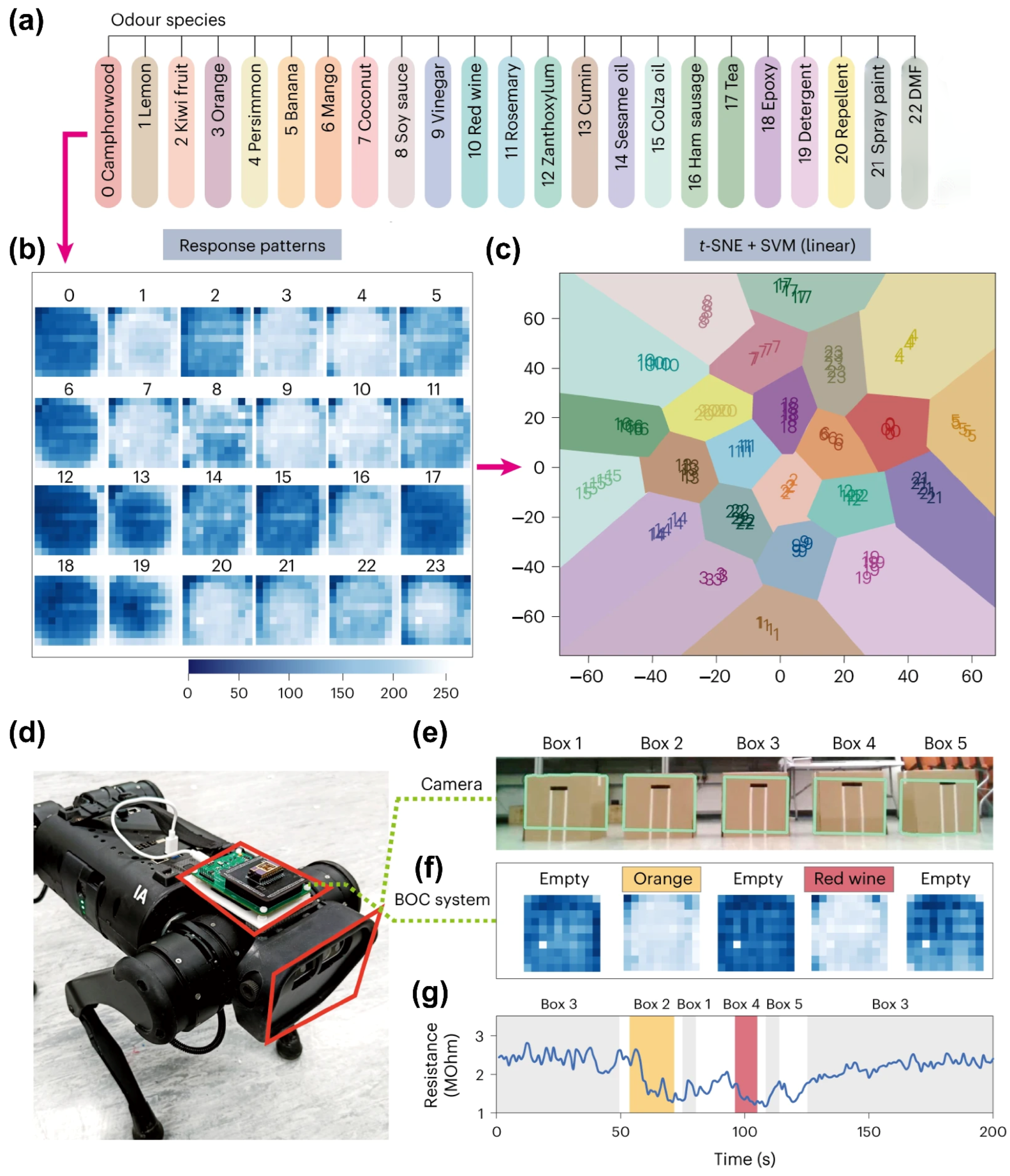 Chemosensors 13 00224 g008
