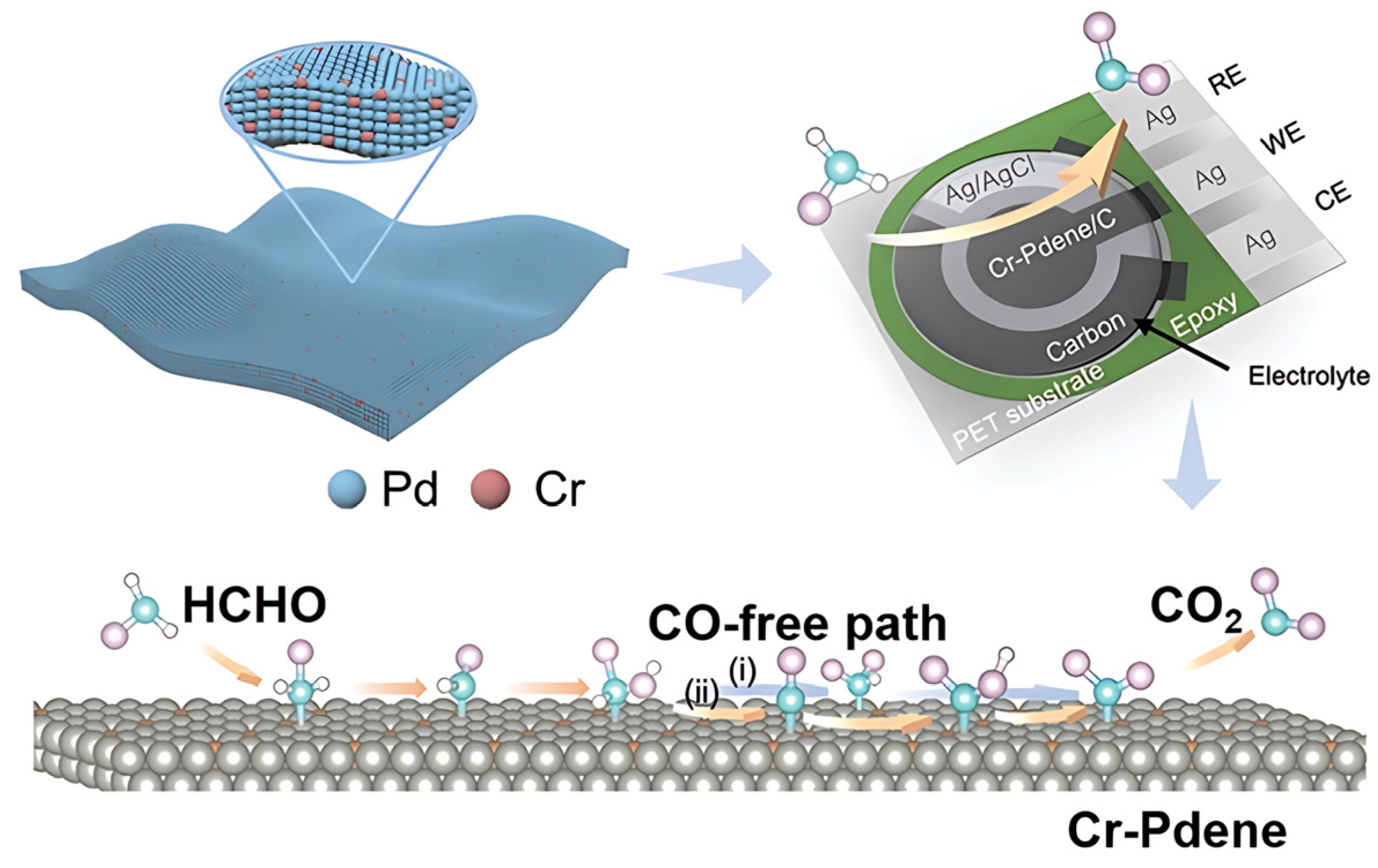 Chemosensors 13 00224 g009