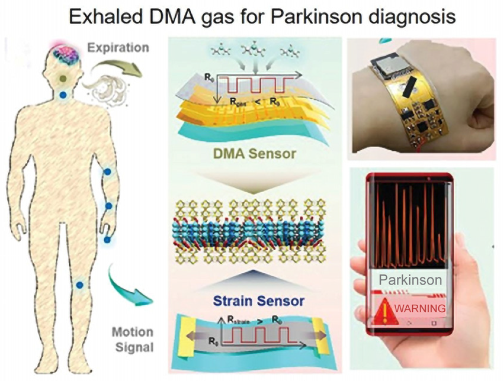 Chemosensors 13 00224 g011