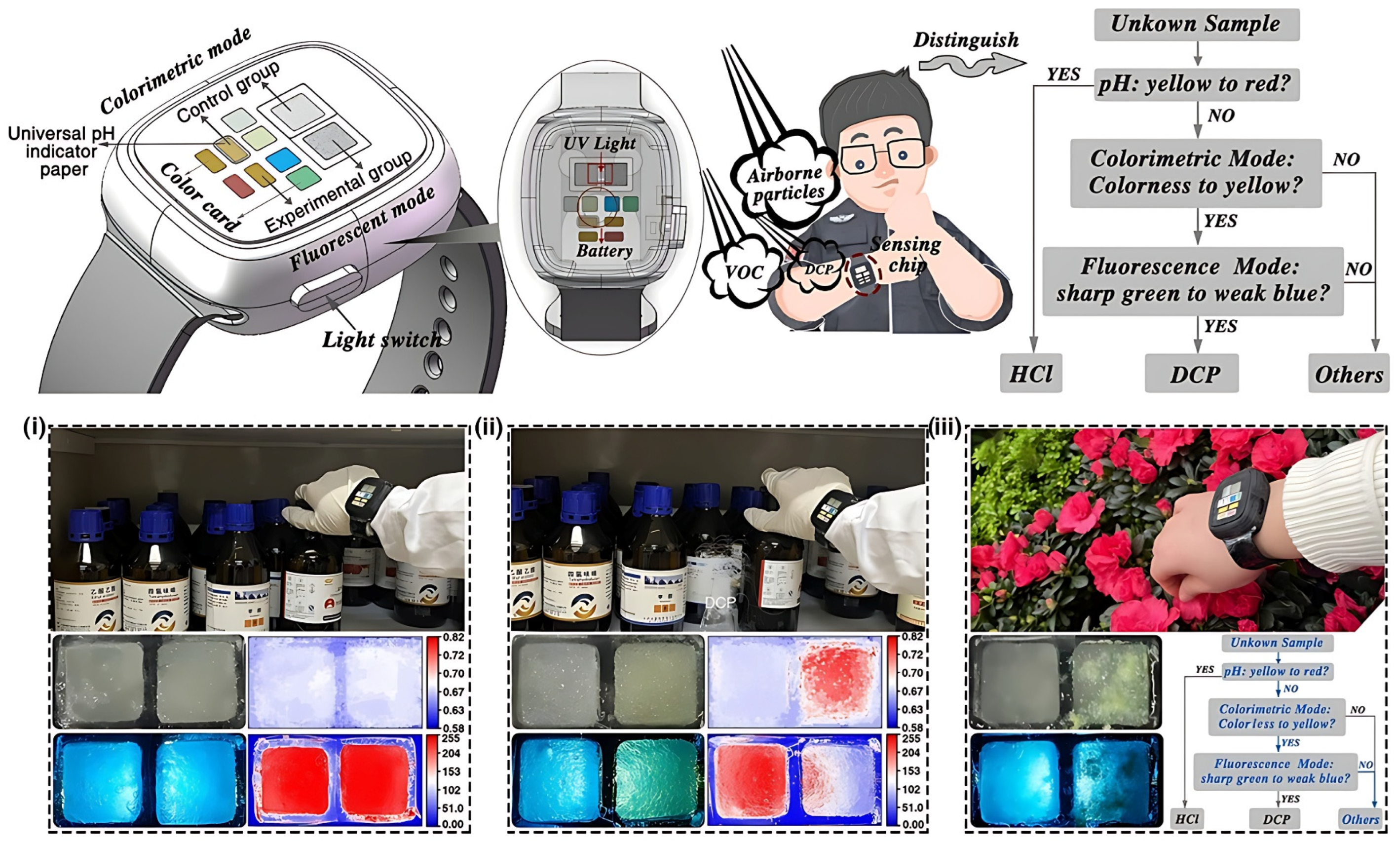 Chemosensors 13 00224 g012