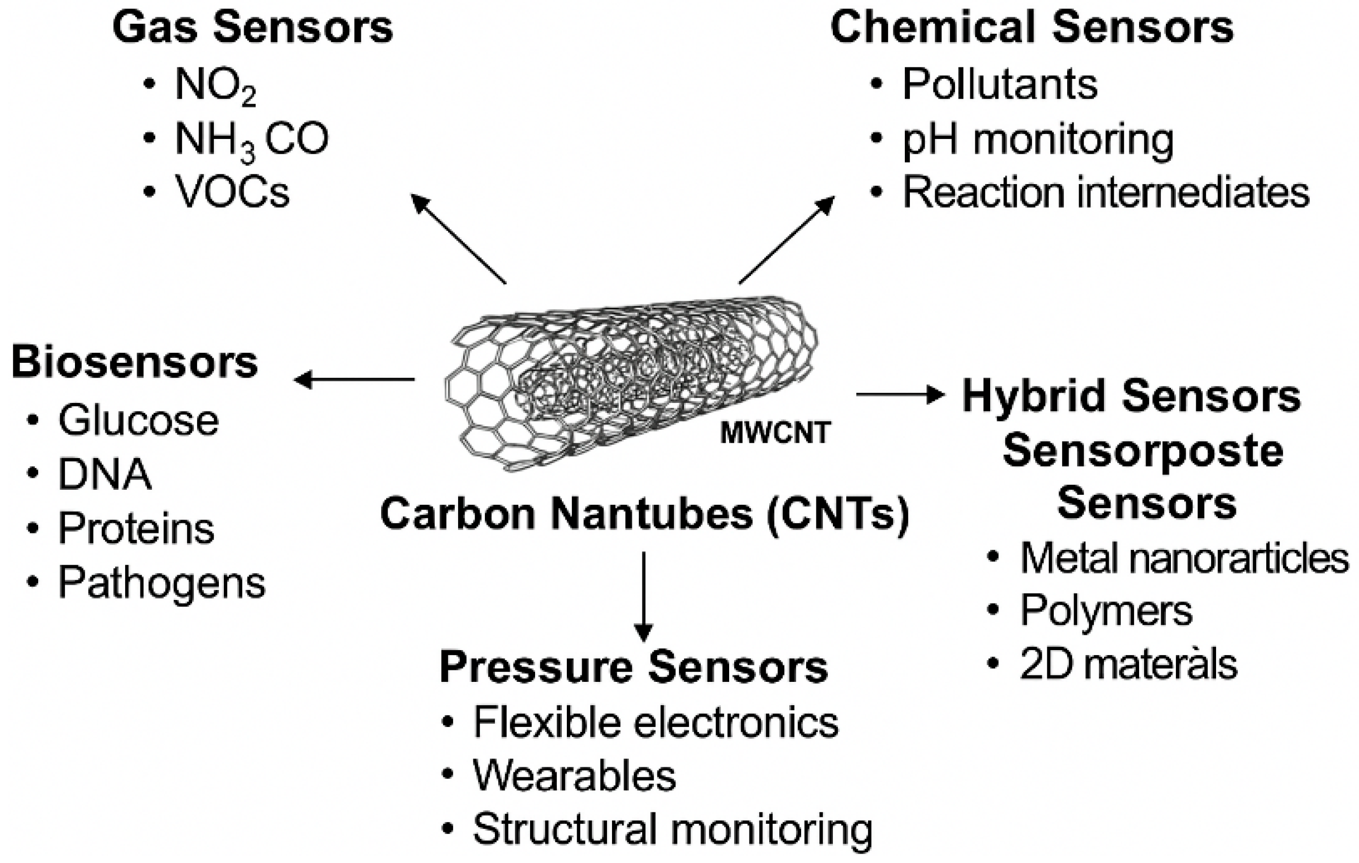 Chemosensors 13 00225 g001