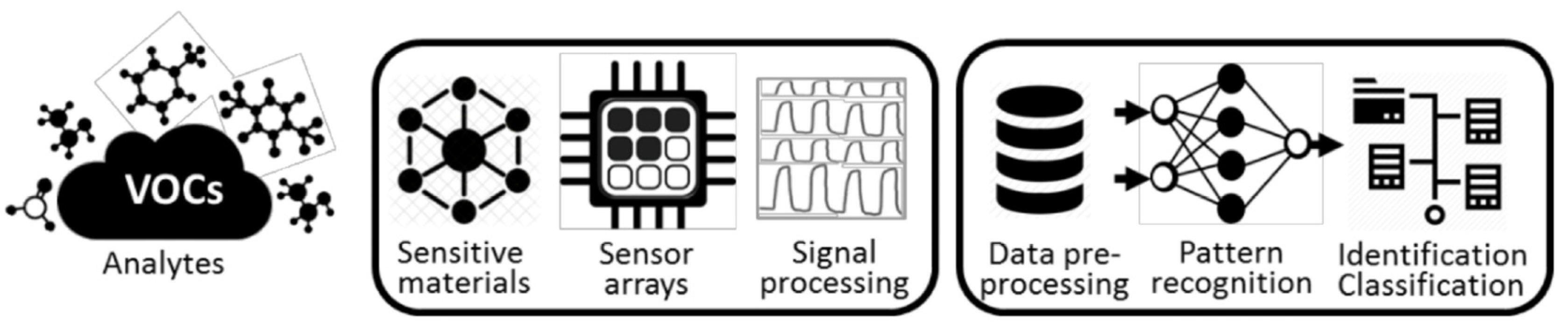 Chemosensors 13 00226 g001