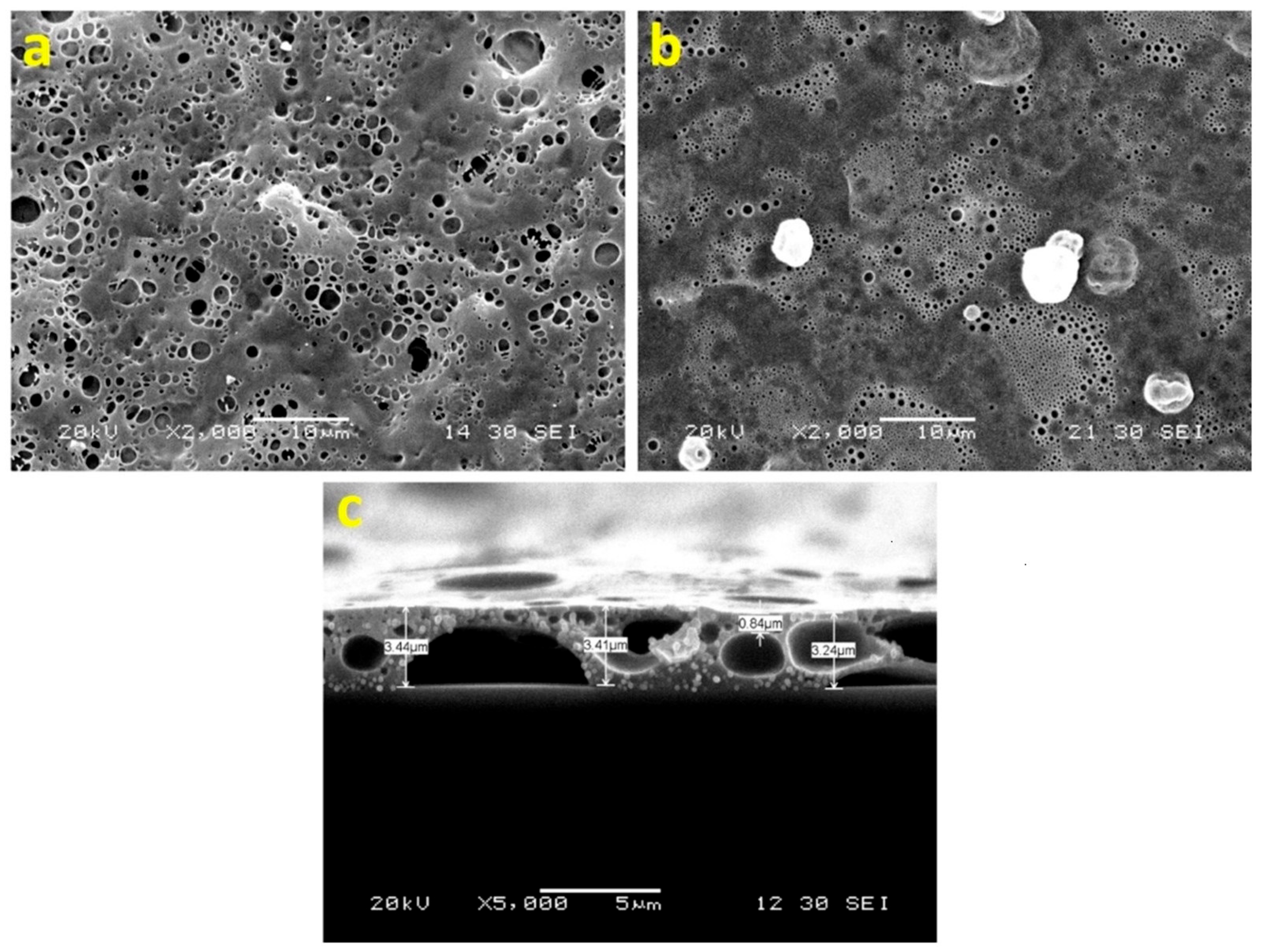 Chemosensors 13 00226 g002