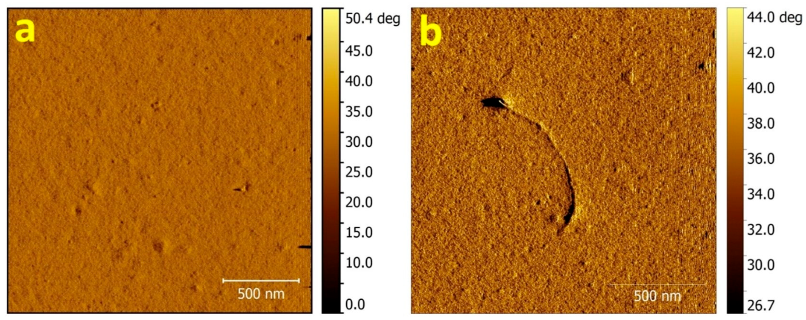Chemosensors 13 00226 g003