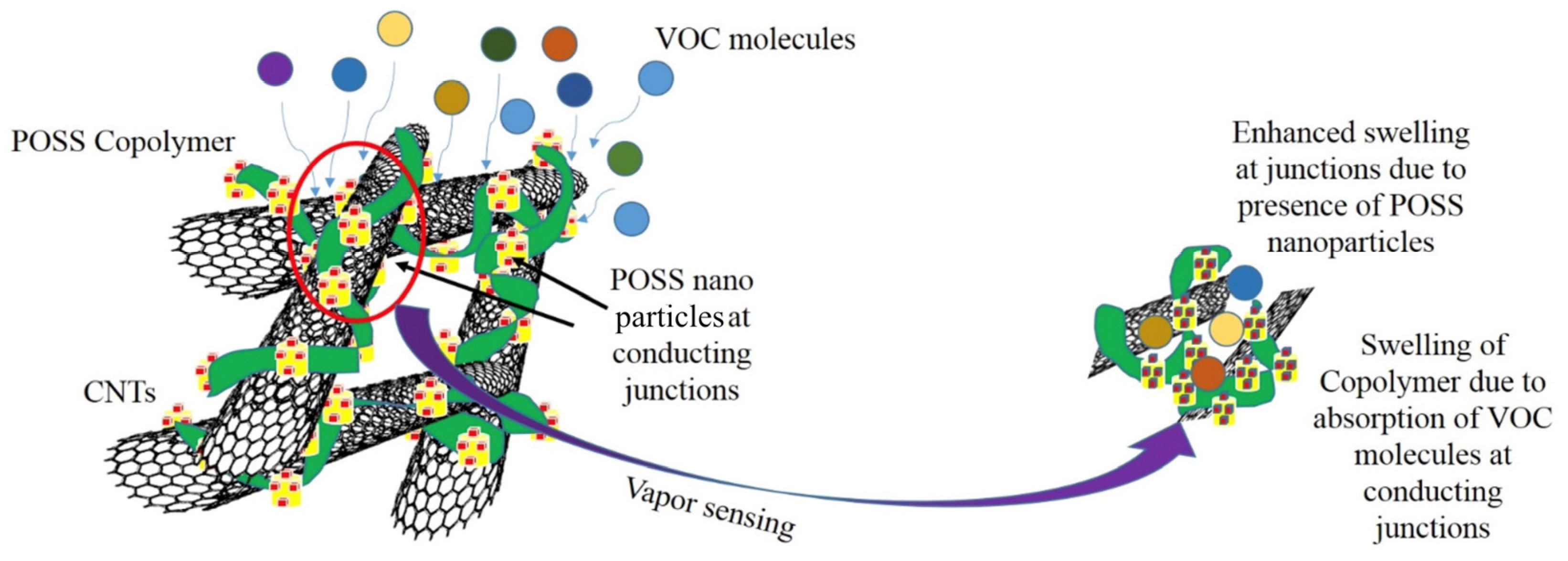 Chemosensors 13 00226 g006