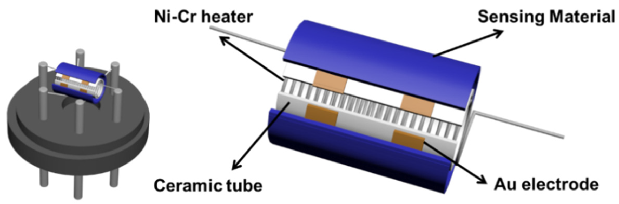Chemosensors 13 00228 g001