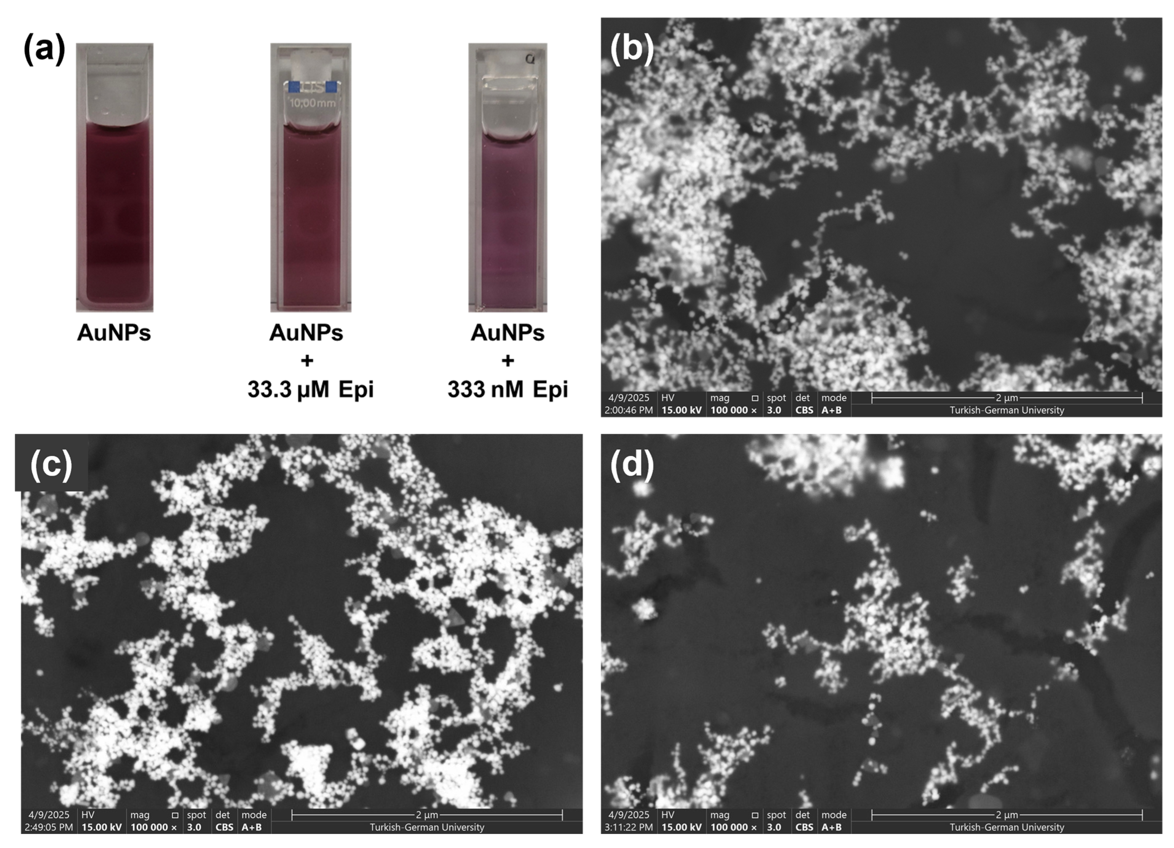 Chemosensors 13 00229 g009