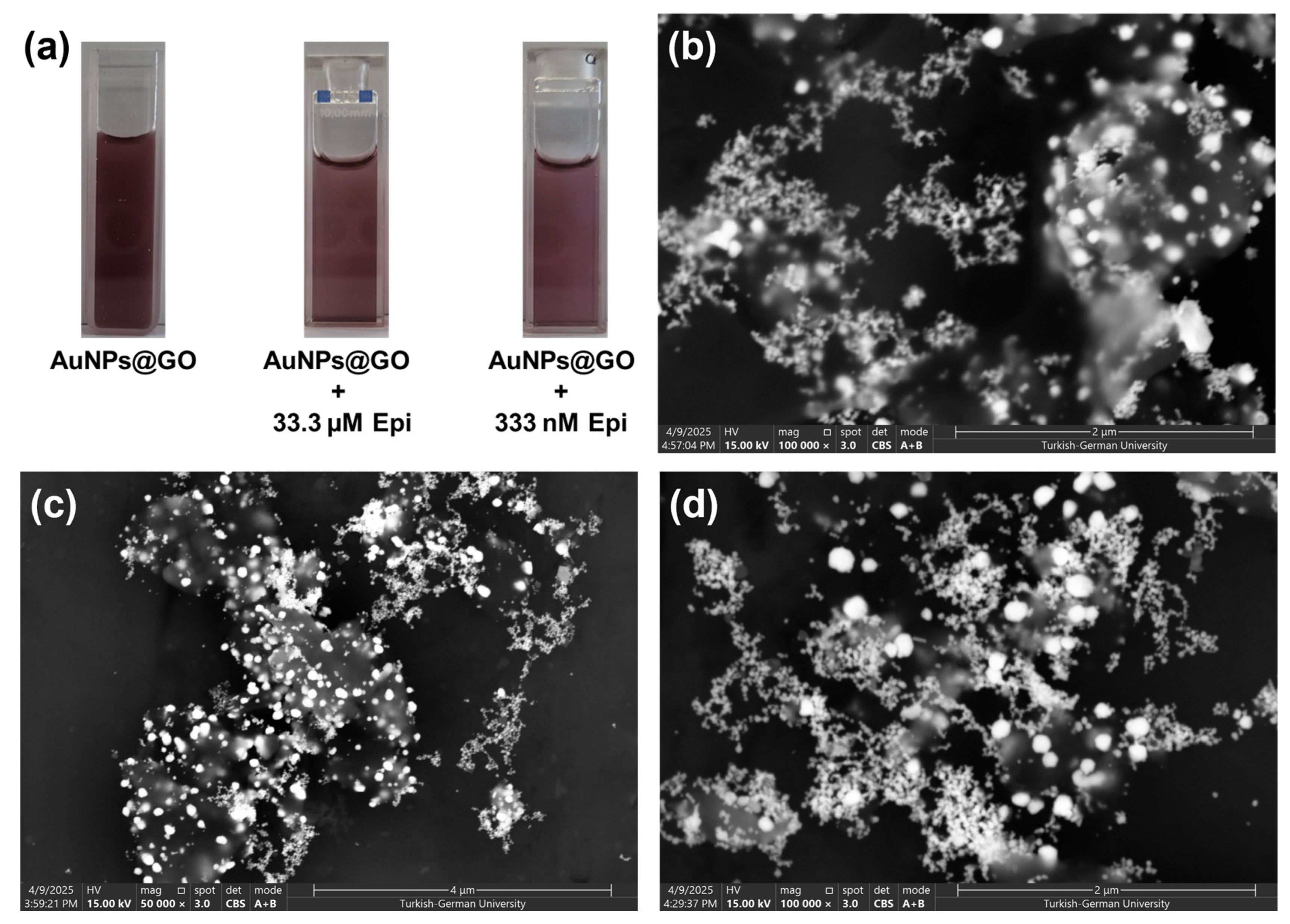 Chemosensors 13 00229 g016