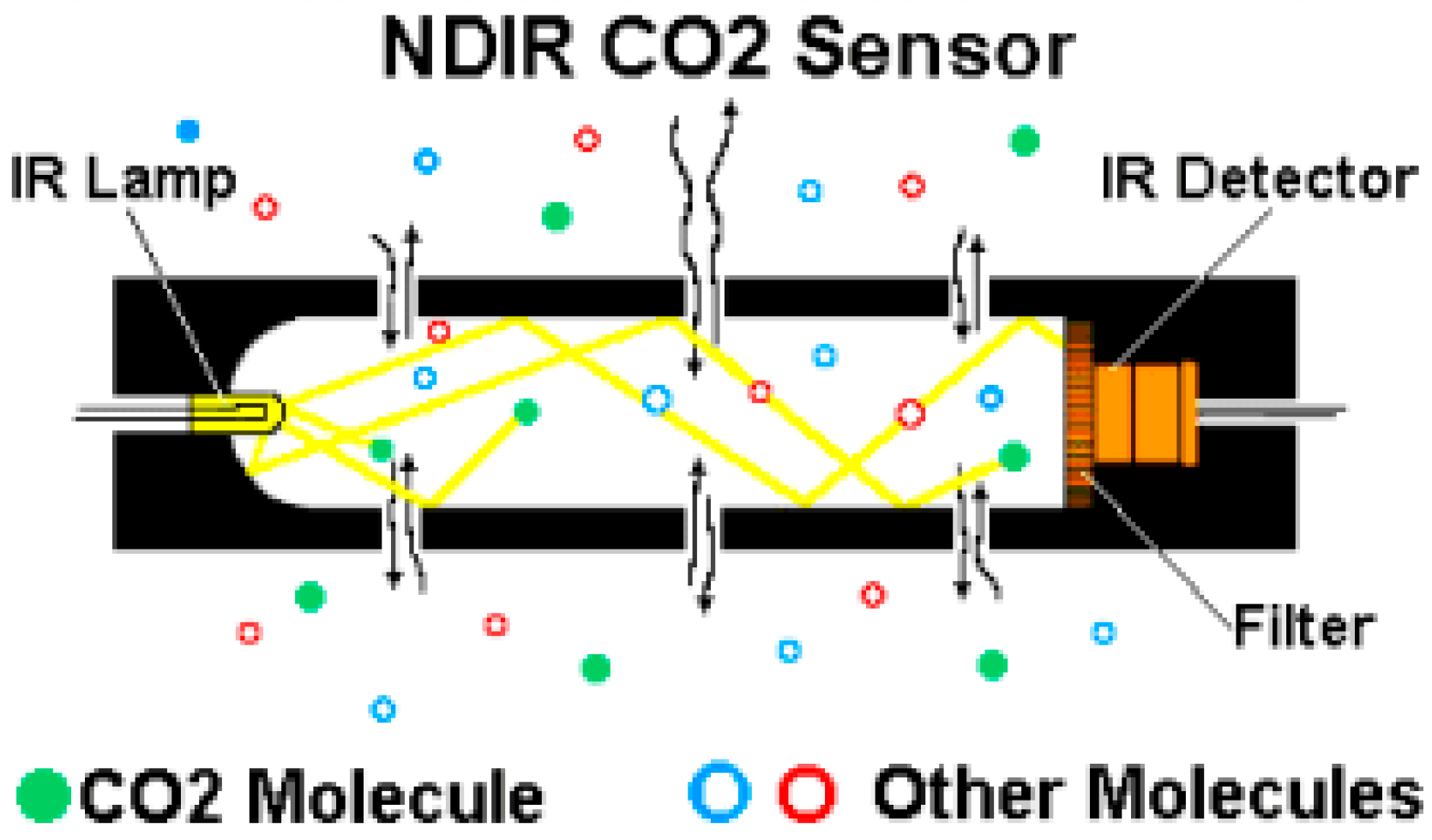 Chemosensors 13 00230 g017