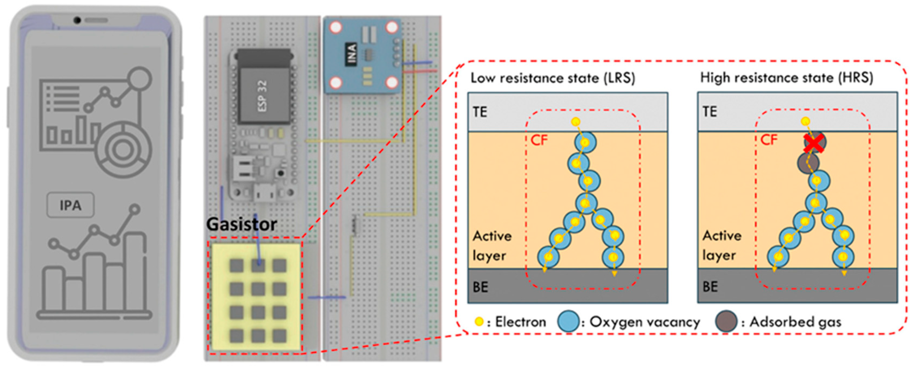 Chemosensors 13 00230 g018