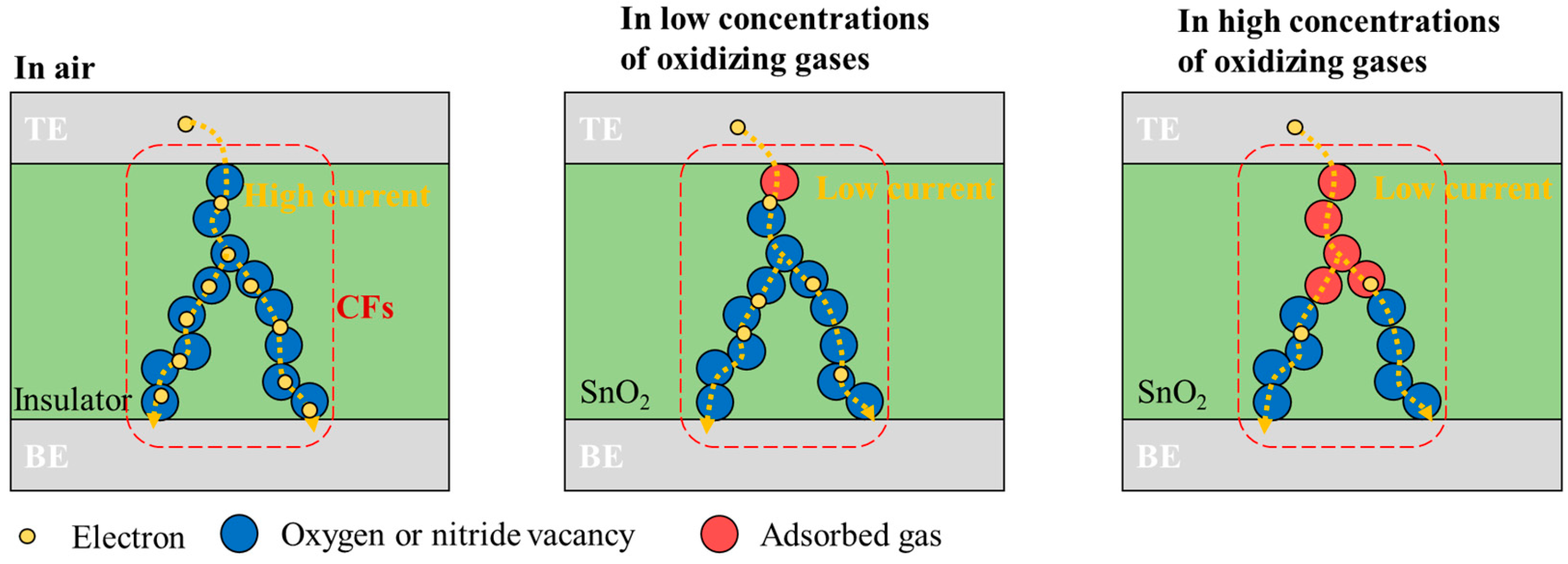Chemosensors 13 00230 g019