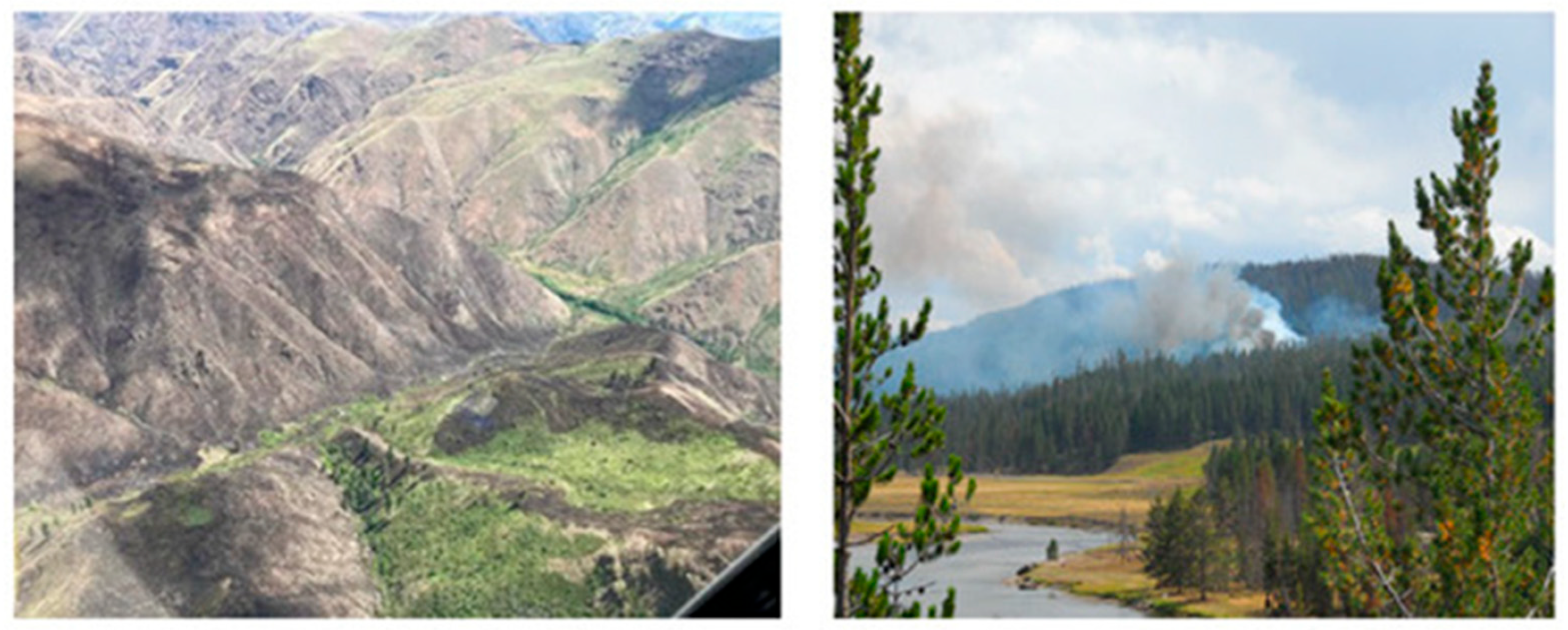 Chemosensors 13 00230 g024