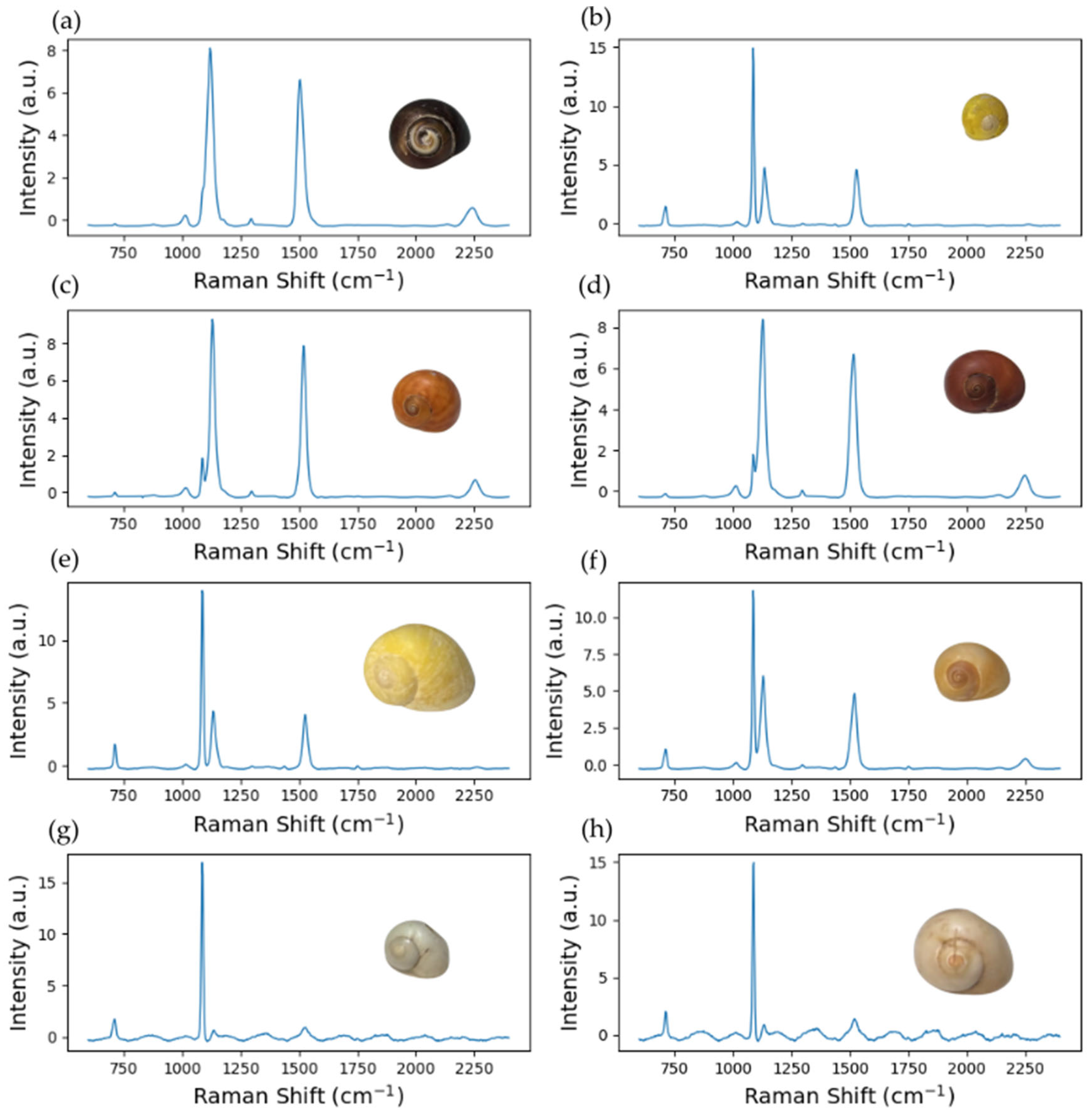 Chemosensors 13 00232 g006