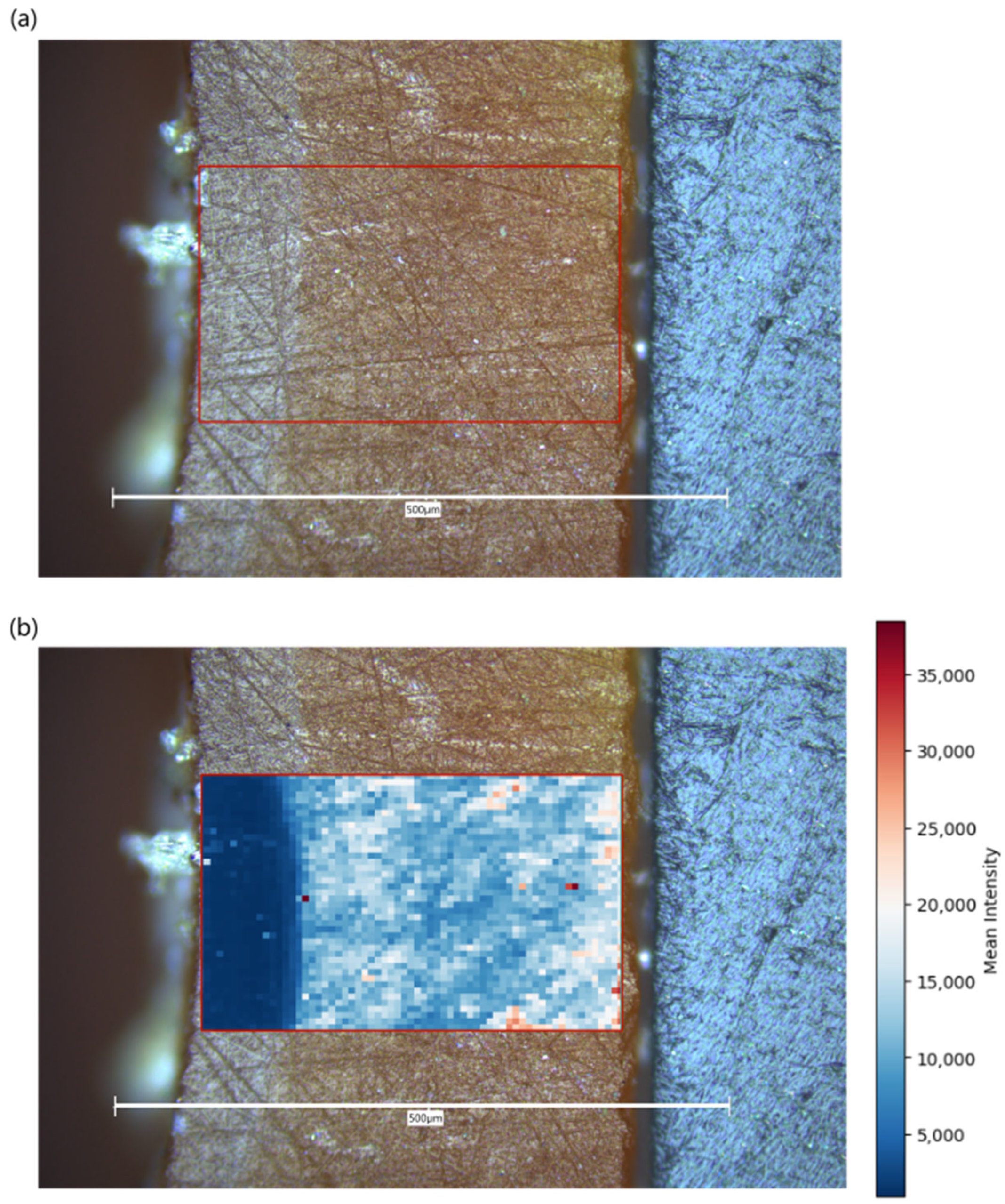 Chemosensors 13 00232 g007