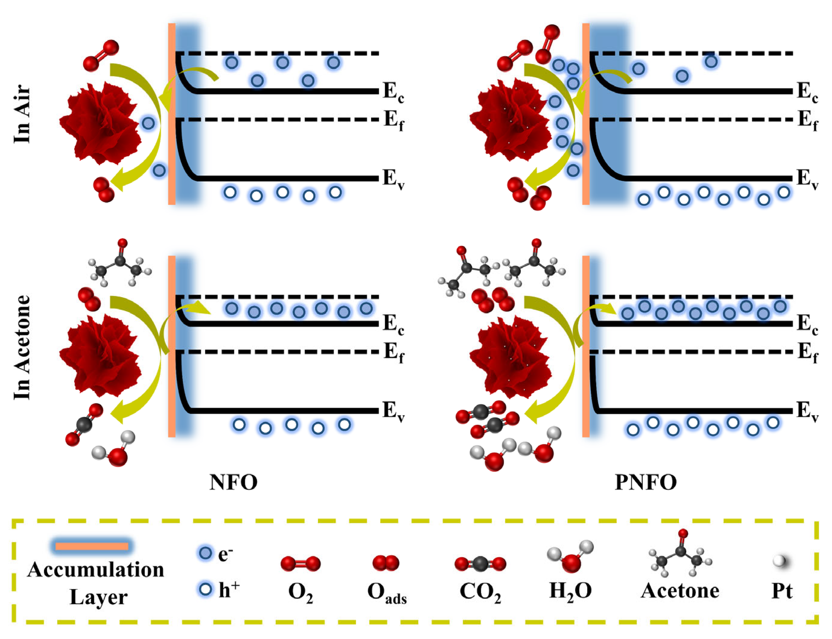 Chemosensors 13 00234 g008
