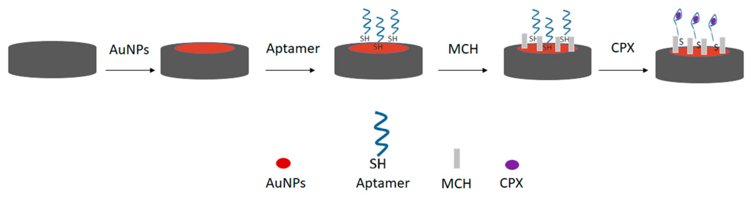 Chemosensors 13 00235 g001