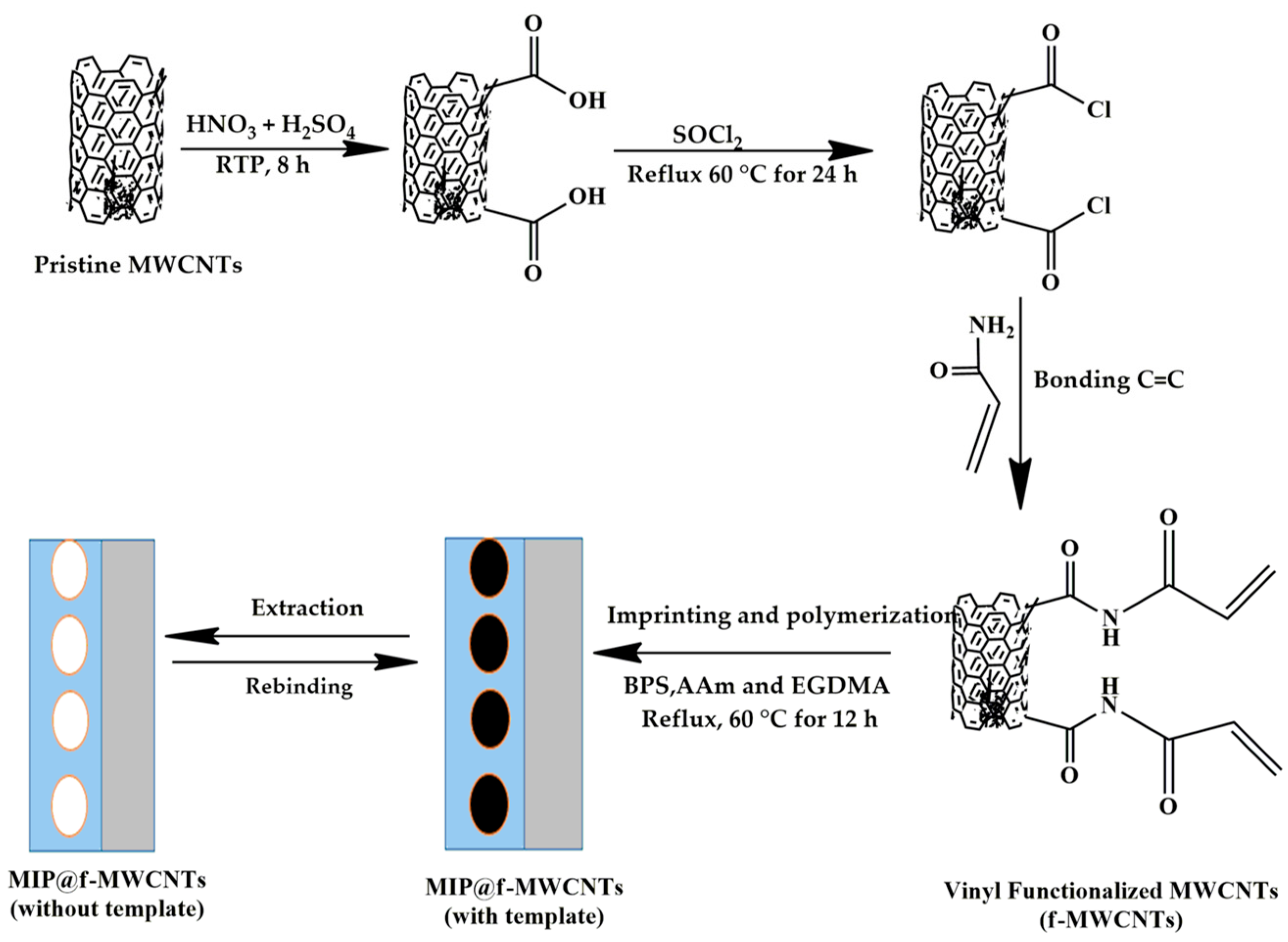 Chemosensors 13 00236 sch001