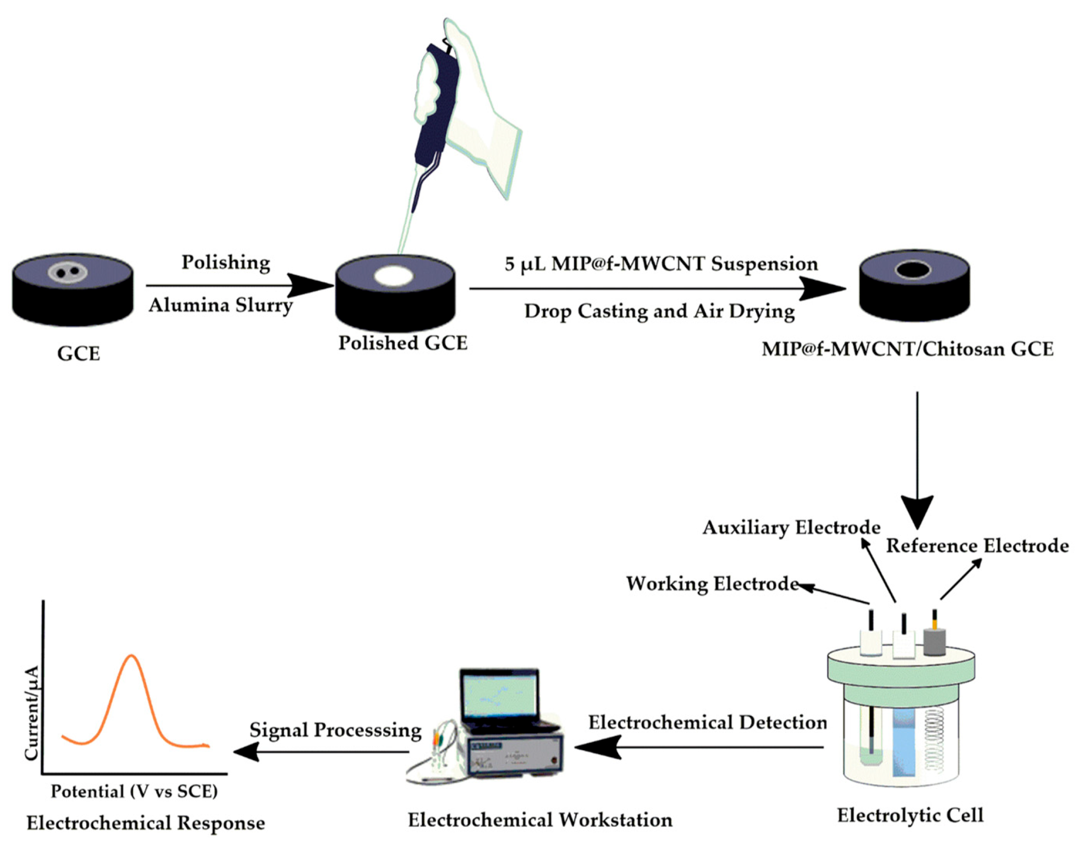 Chemosensors 13 00236 sch002