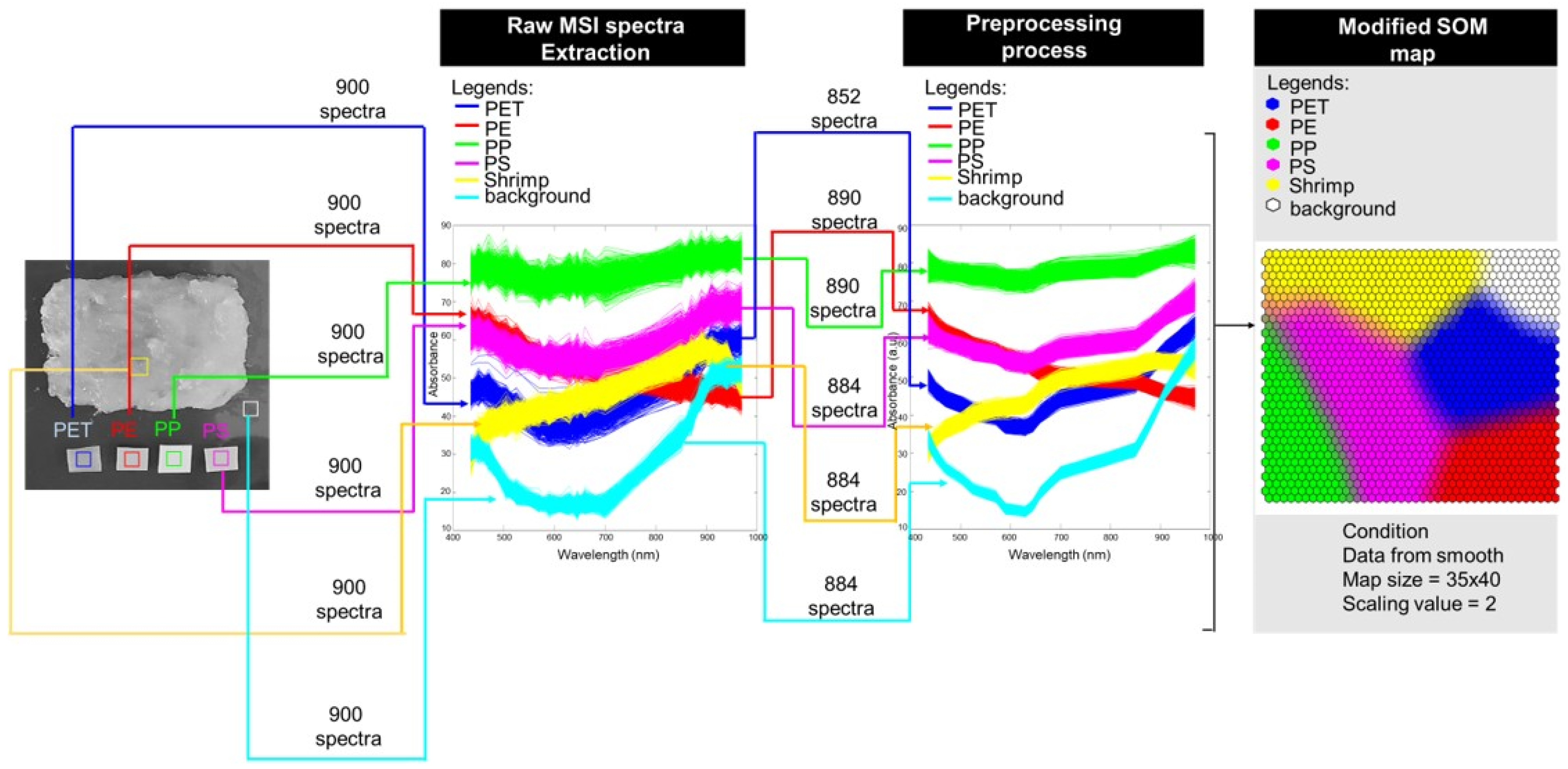 Chemosensors 13 00237 g001