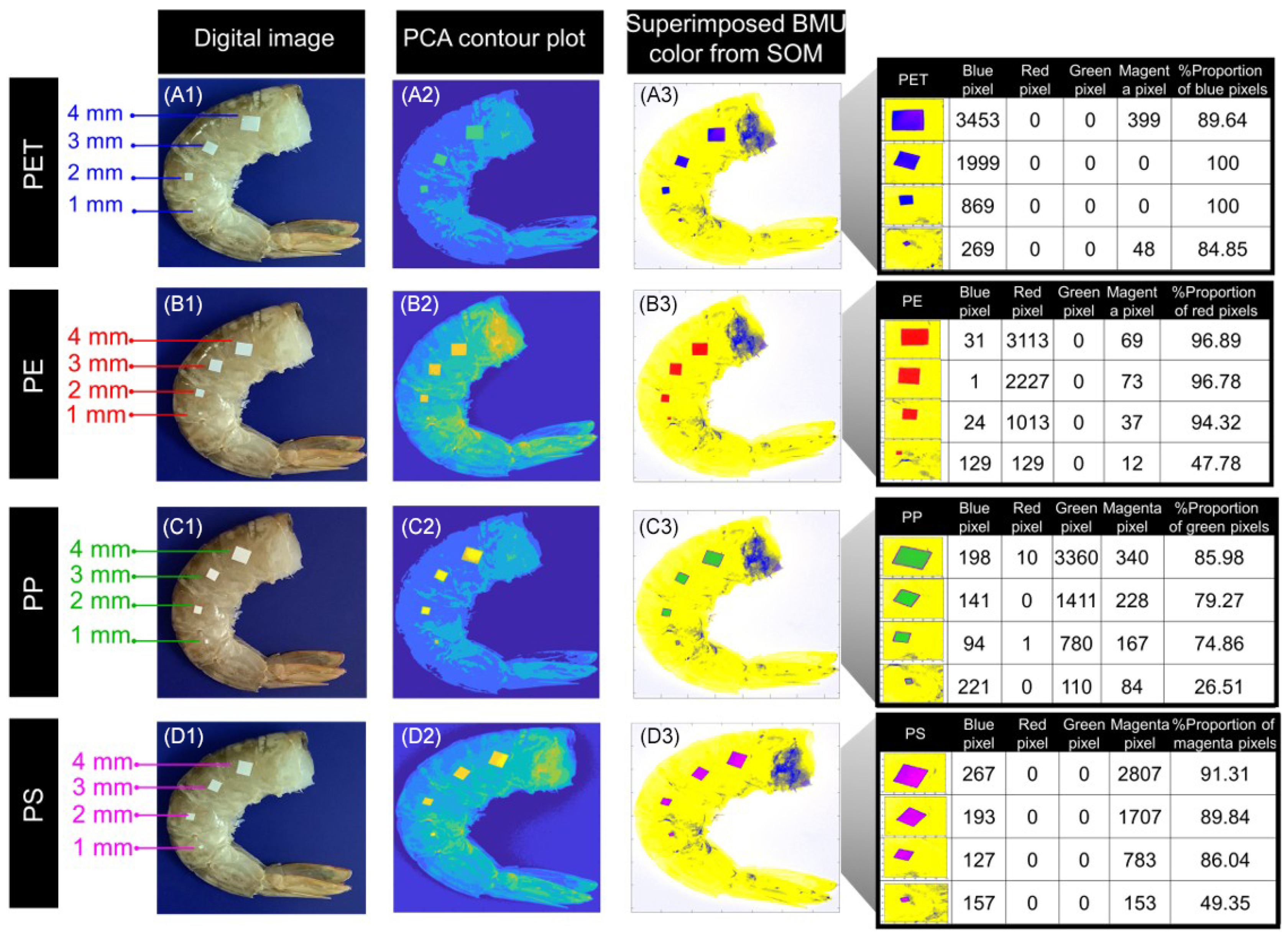 Chemosensors 13 00237 g005