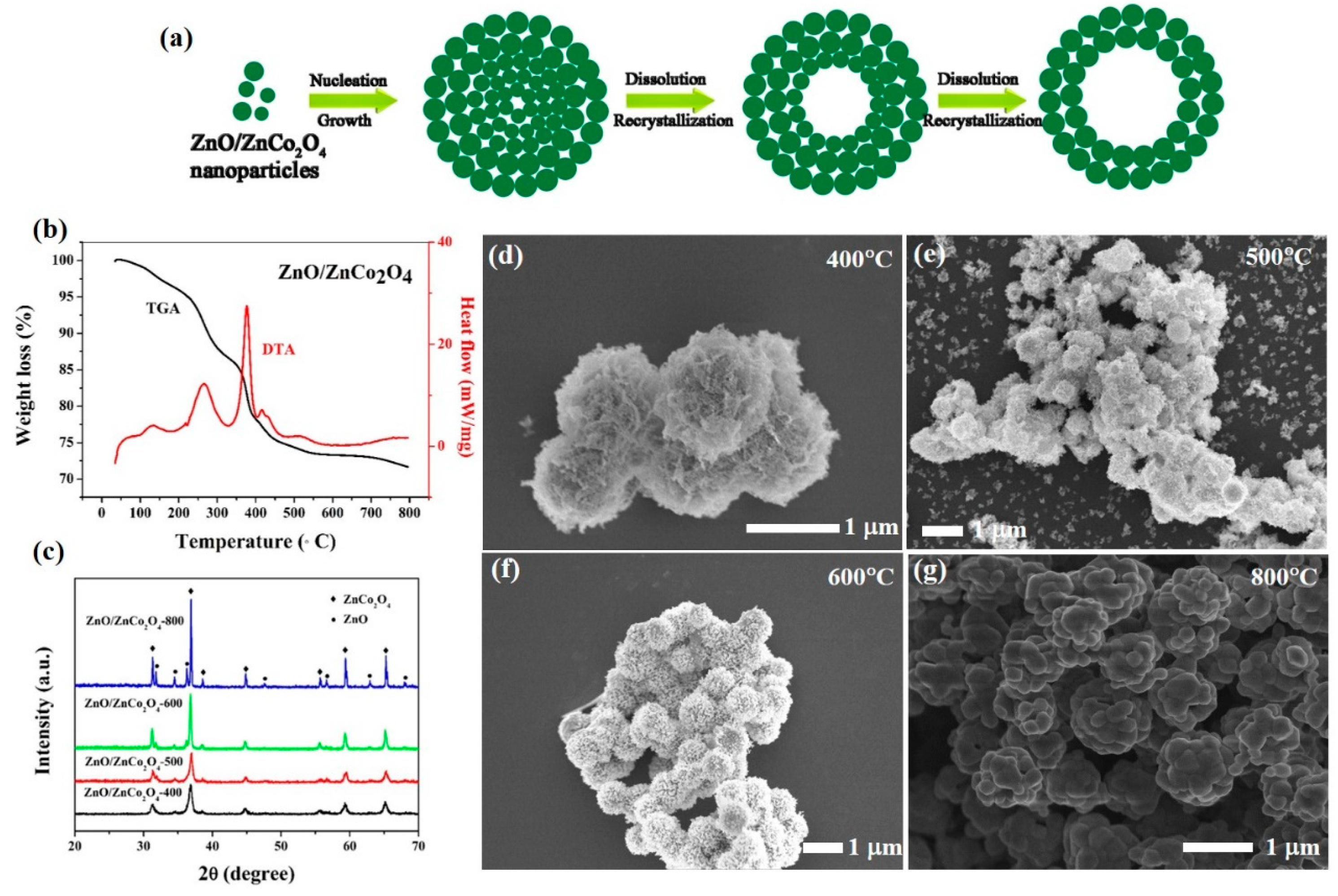 Chemosensors 13 00239 g001