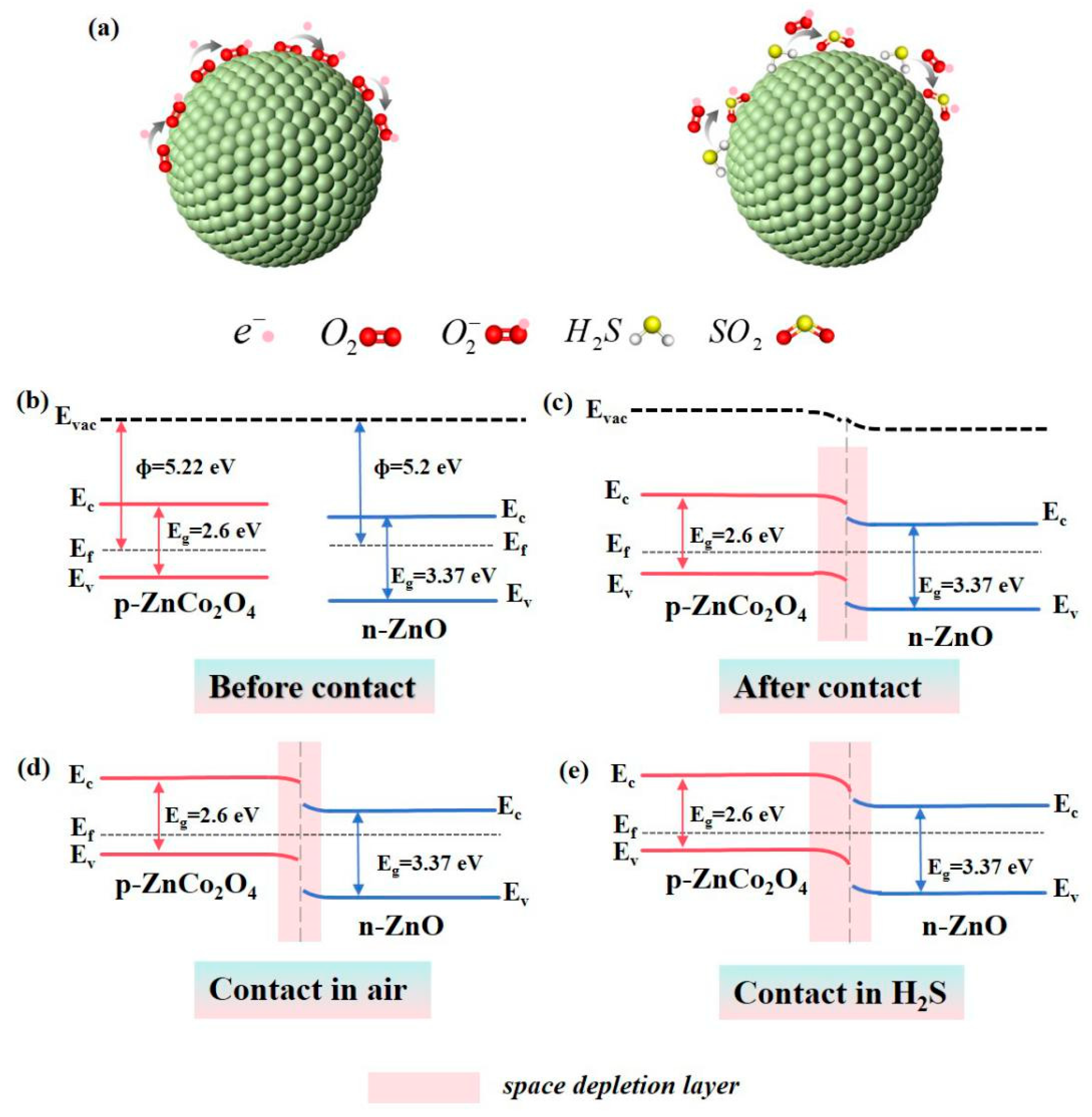 Chemosensors 13 00239 g007