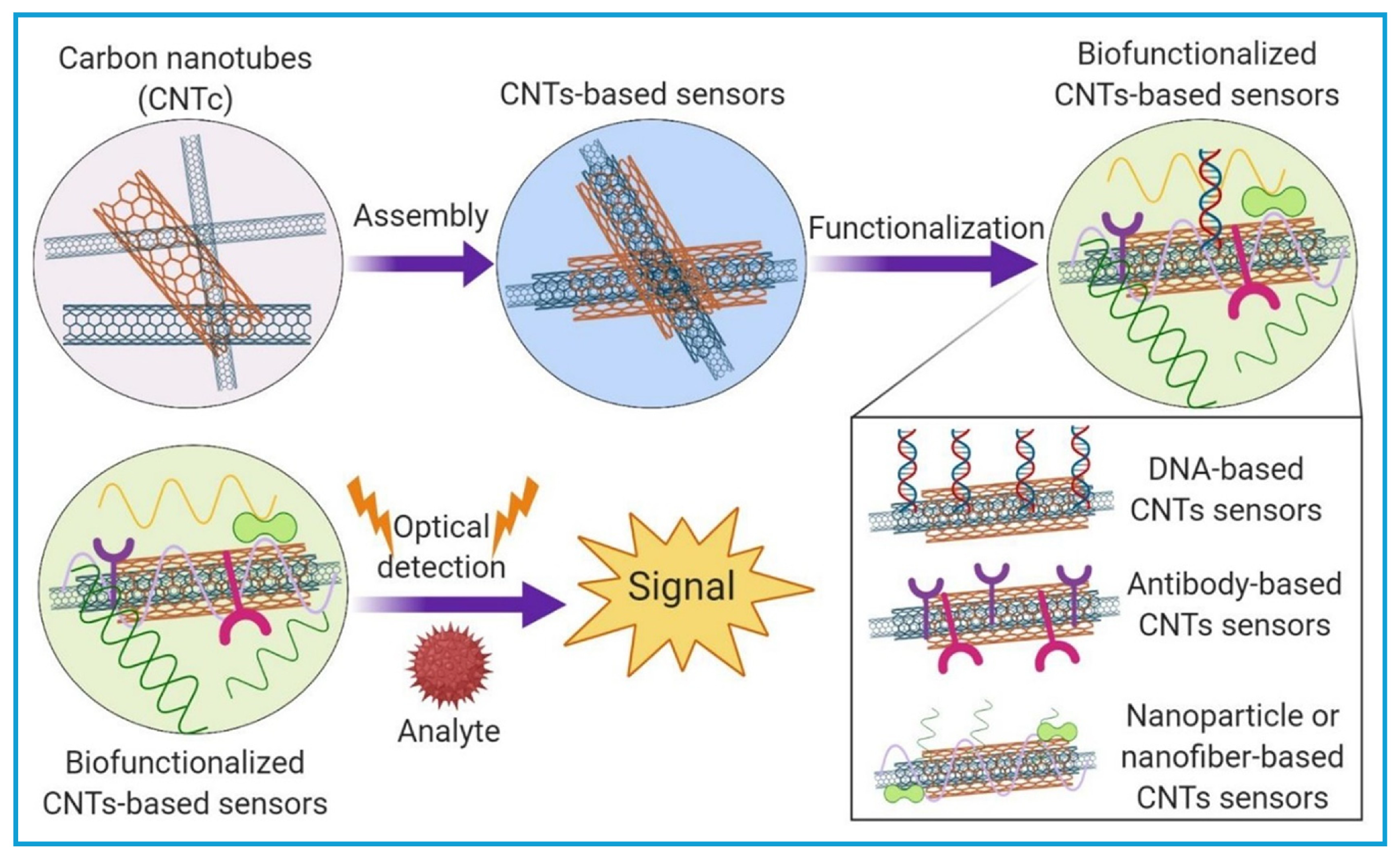 Chemosensors 13 00241 g002