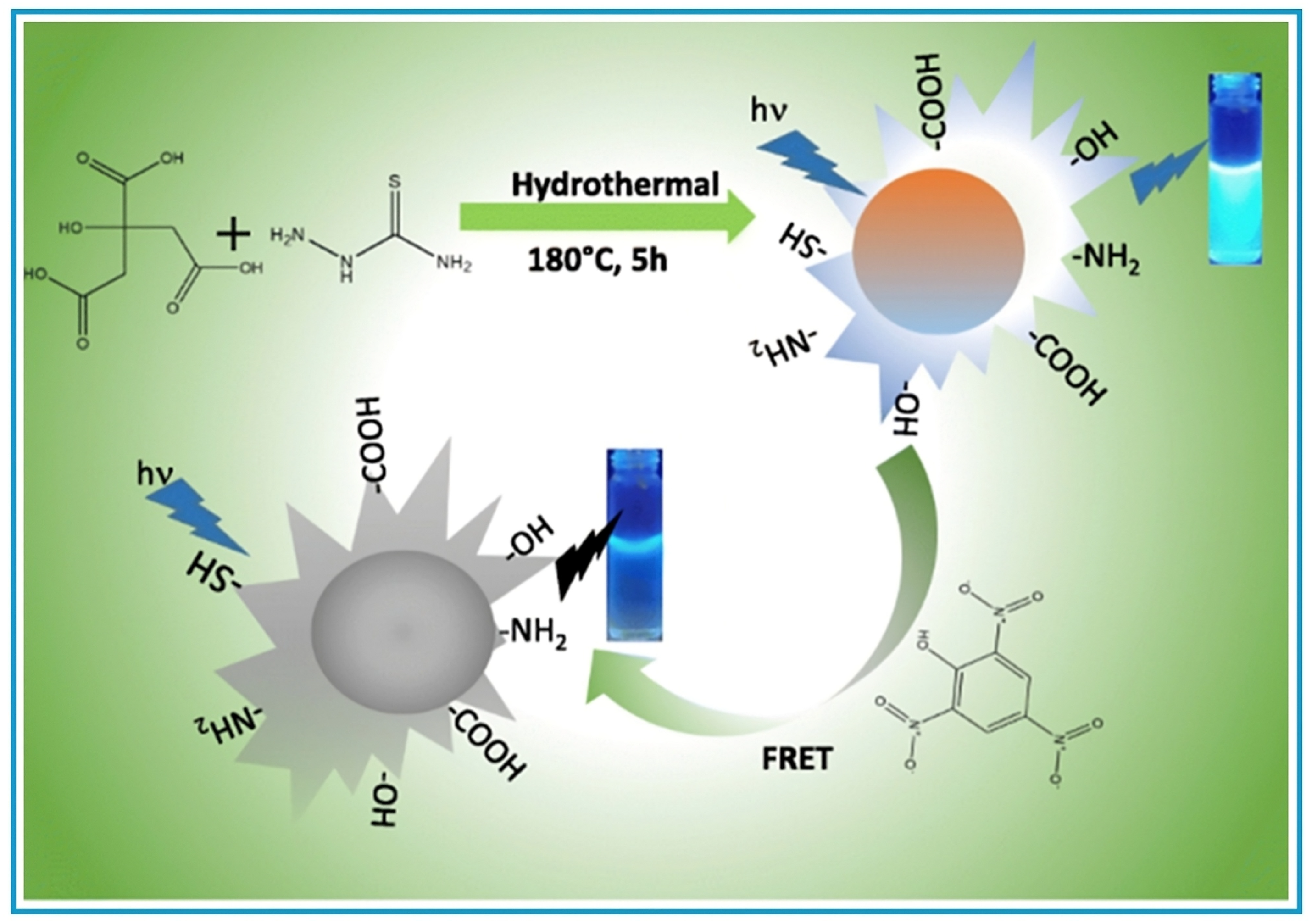 Chemosensors 13 00241 g008