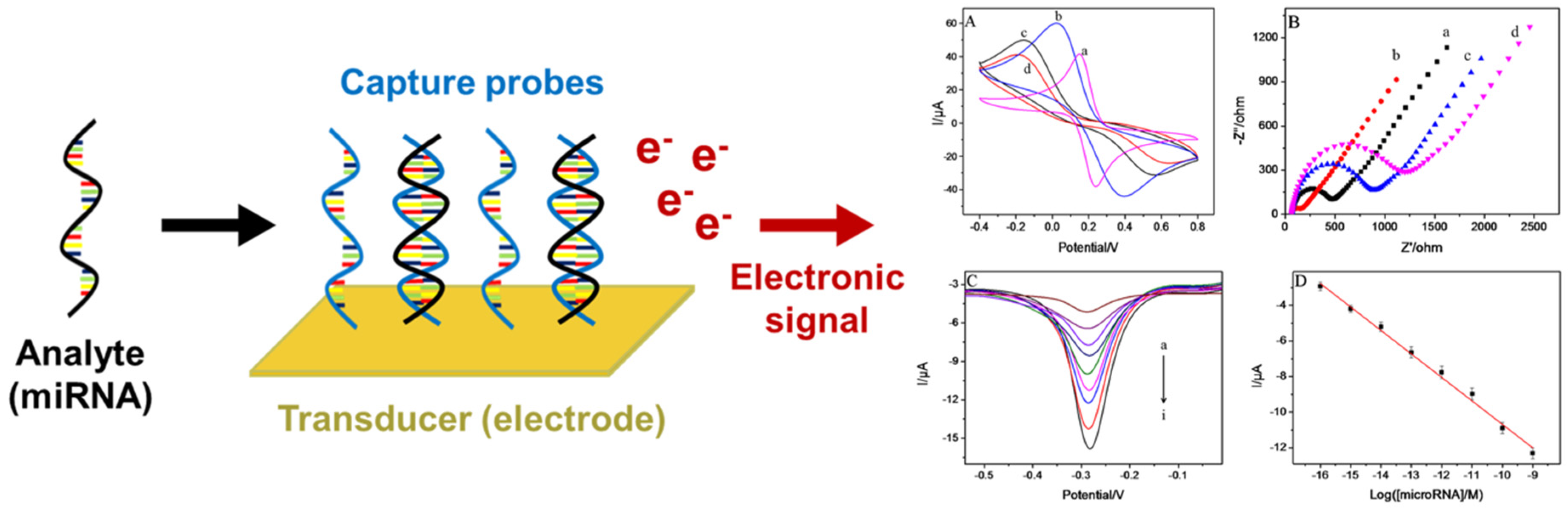 Chemosensors 13 00242 g001