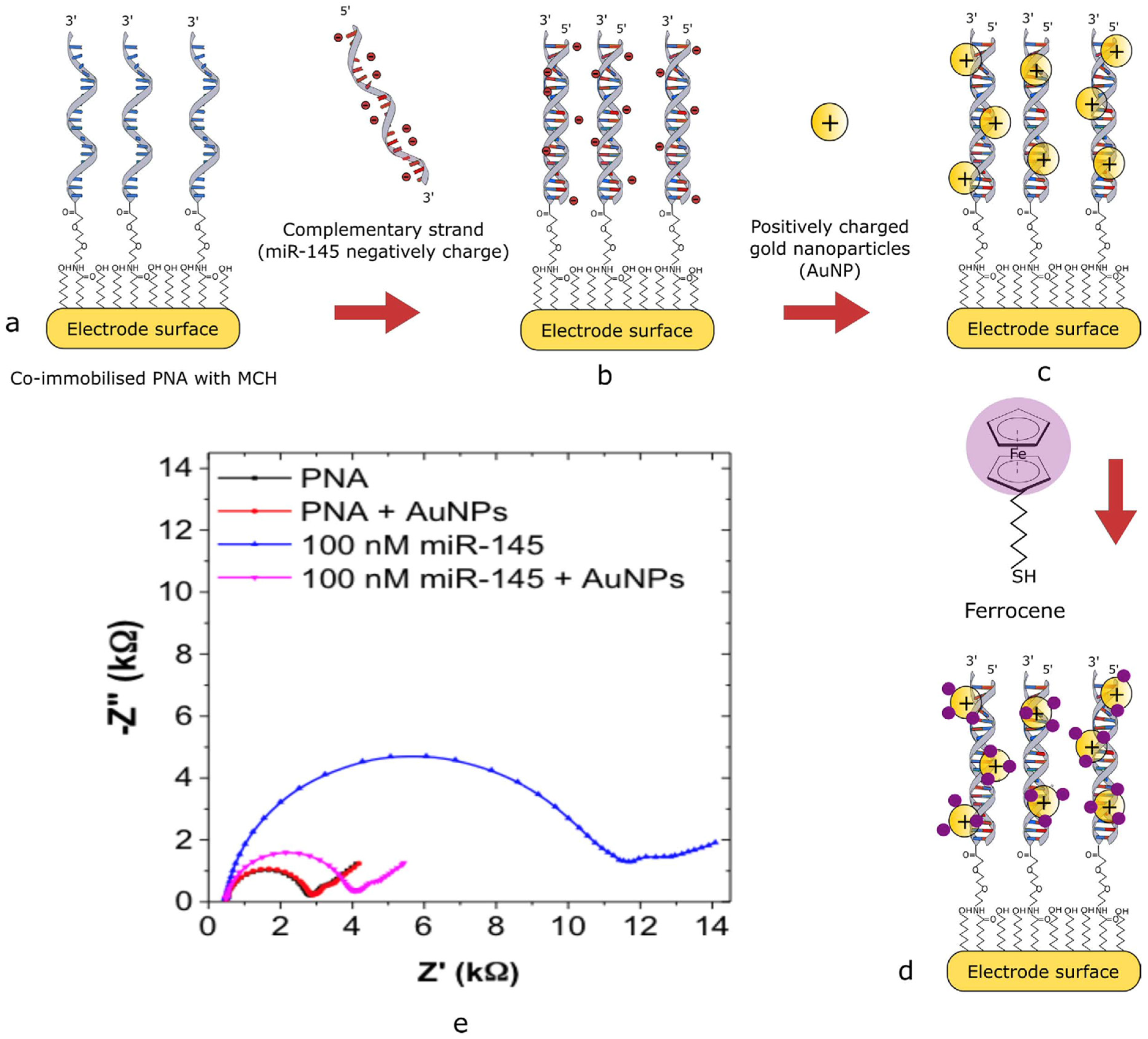 Chemosensors 13 00242 g002