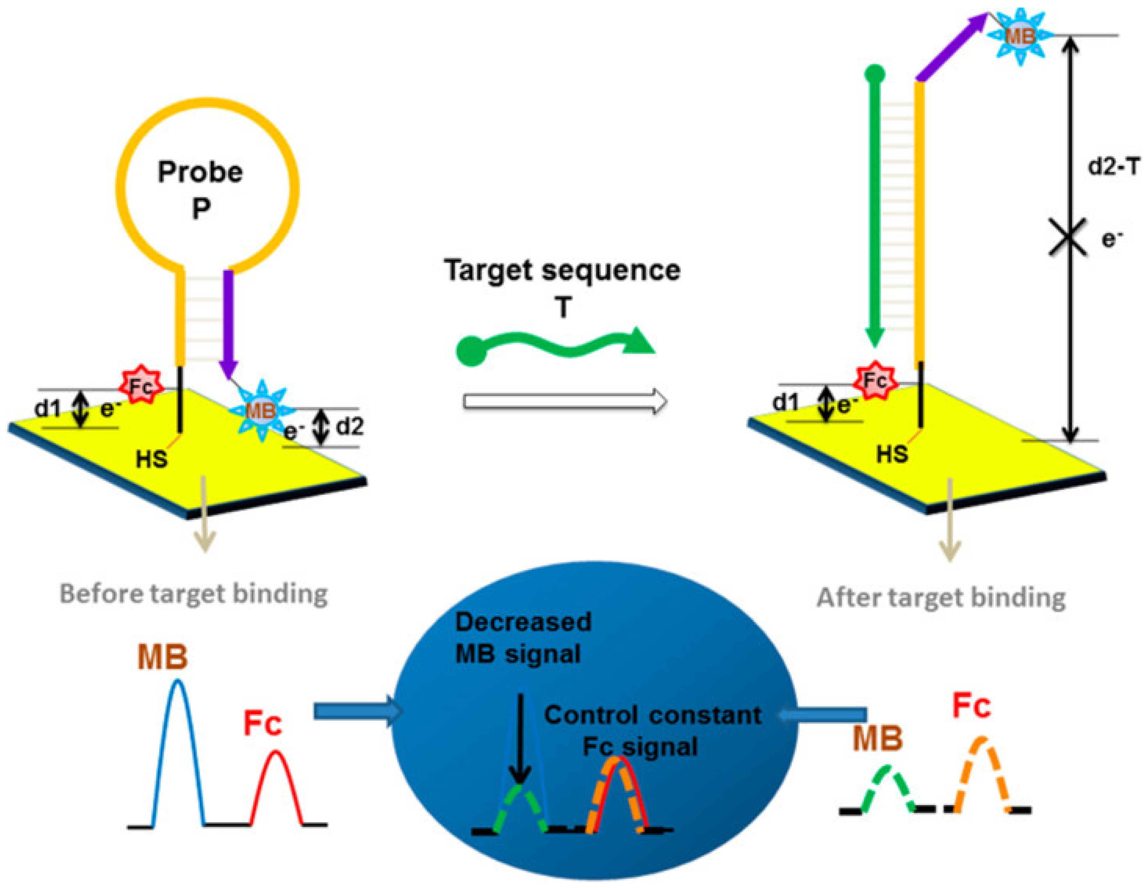 Chemosensors 13 00242 g005