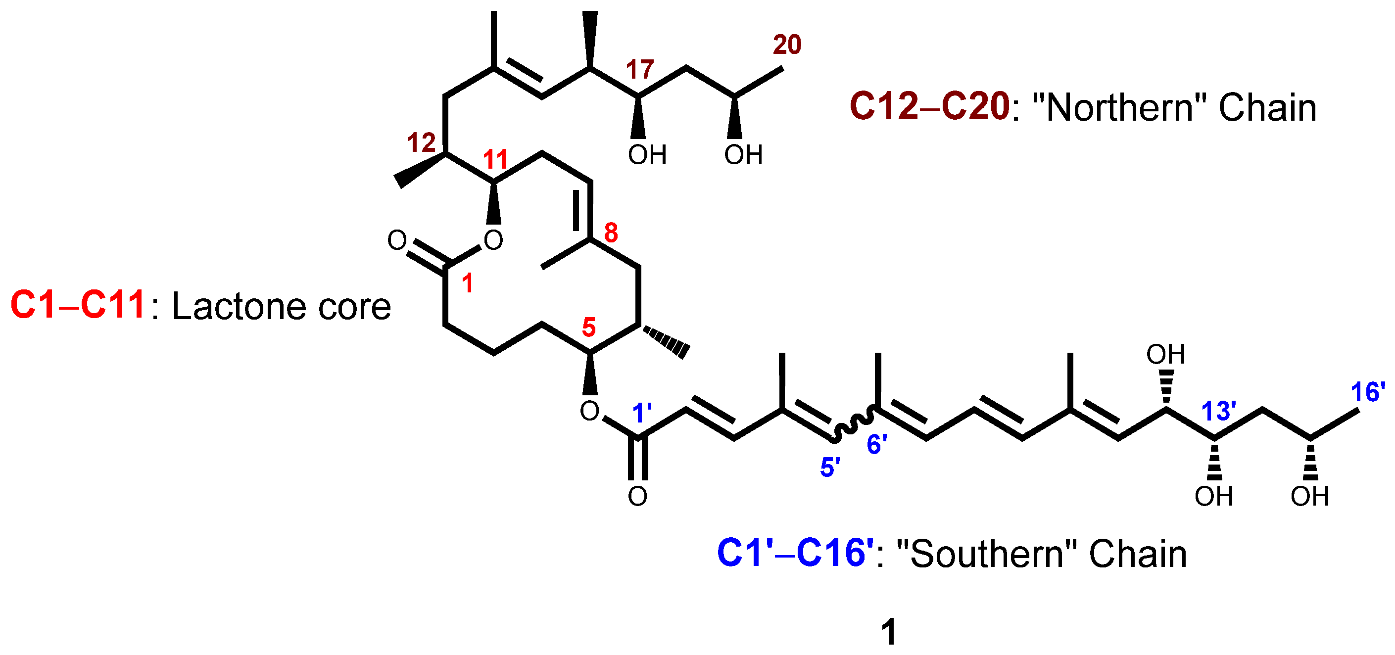 Chemosensors 13 00244 g001